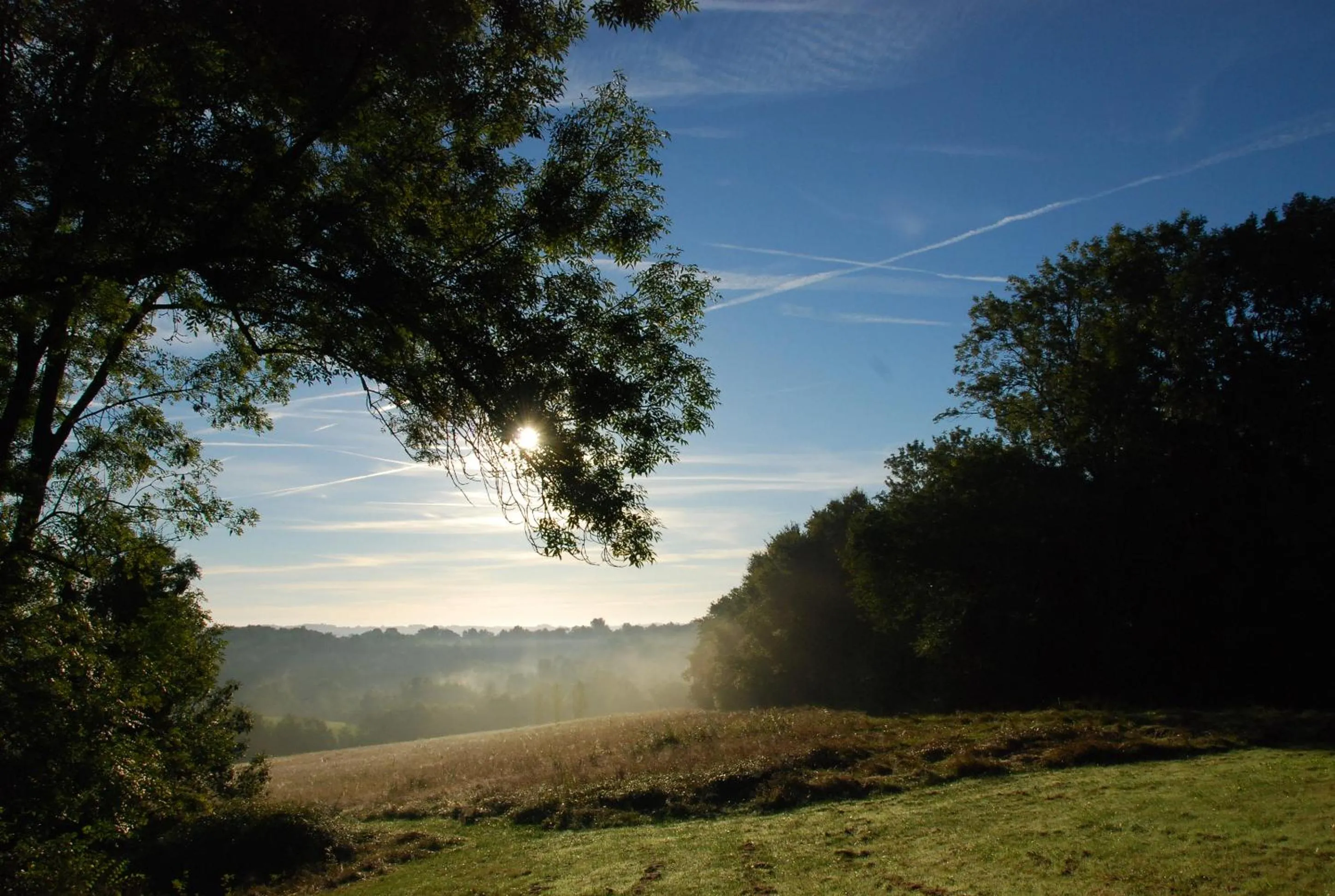 Natural landscape in Domaine Sainte Barthe, entre Marciac et Nogaro