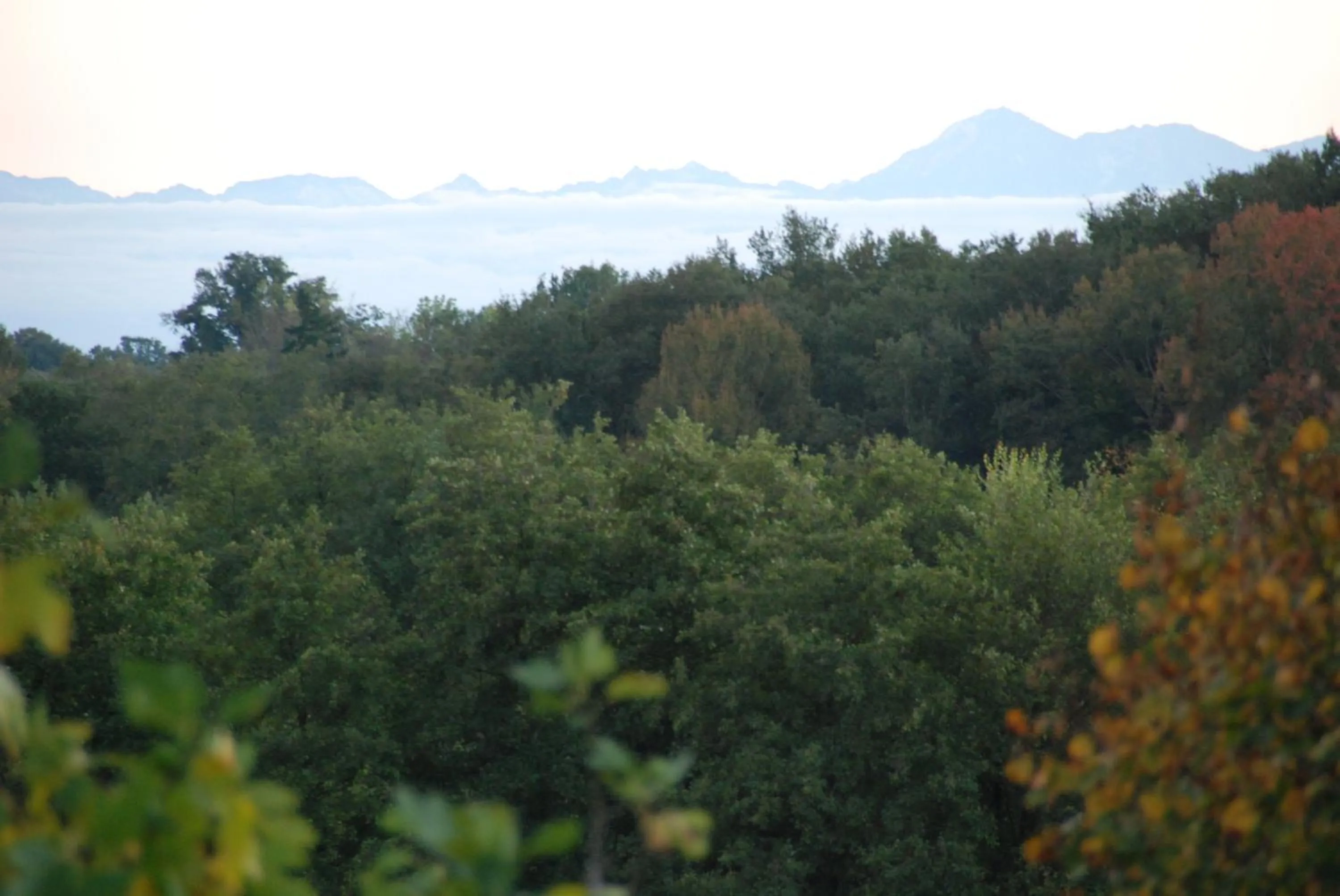 Natural landscape in Domaine Sainte Barthe, entre Marciac et Nogaro
