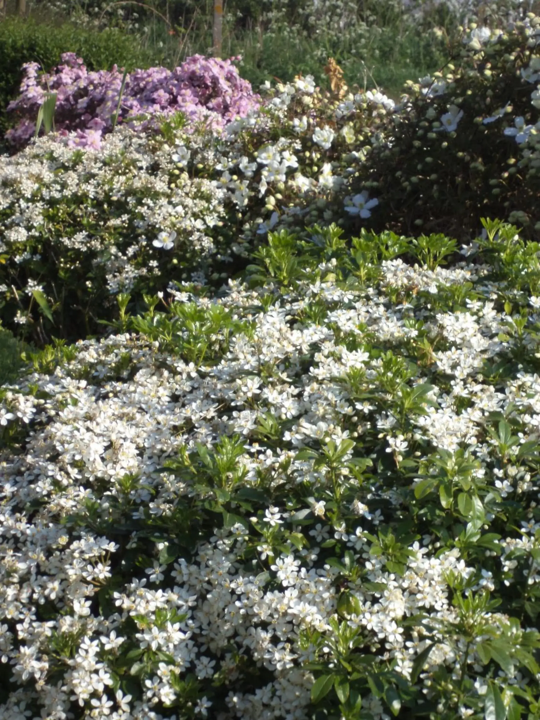 Vacation Home - single occupancy in B&B De Vlaschaerd Vacation Home - single occupancy in B&B De Vlaschaerd