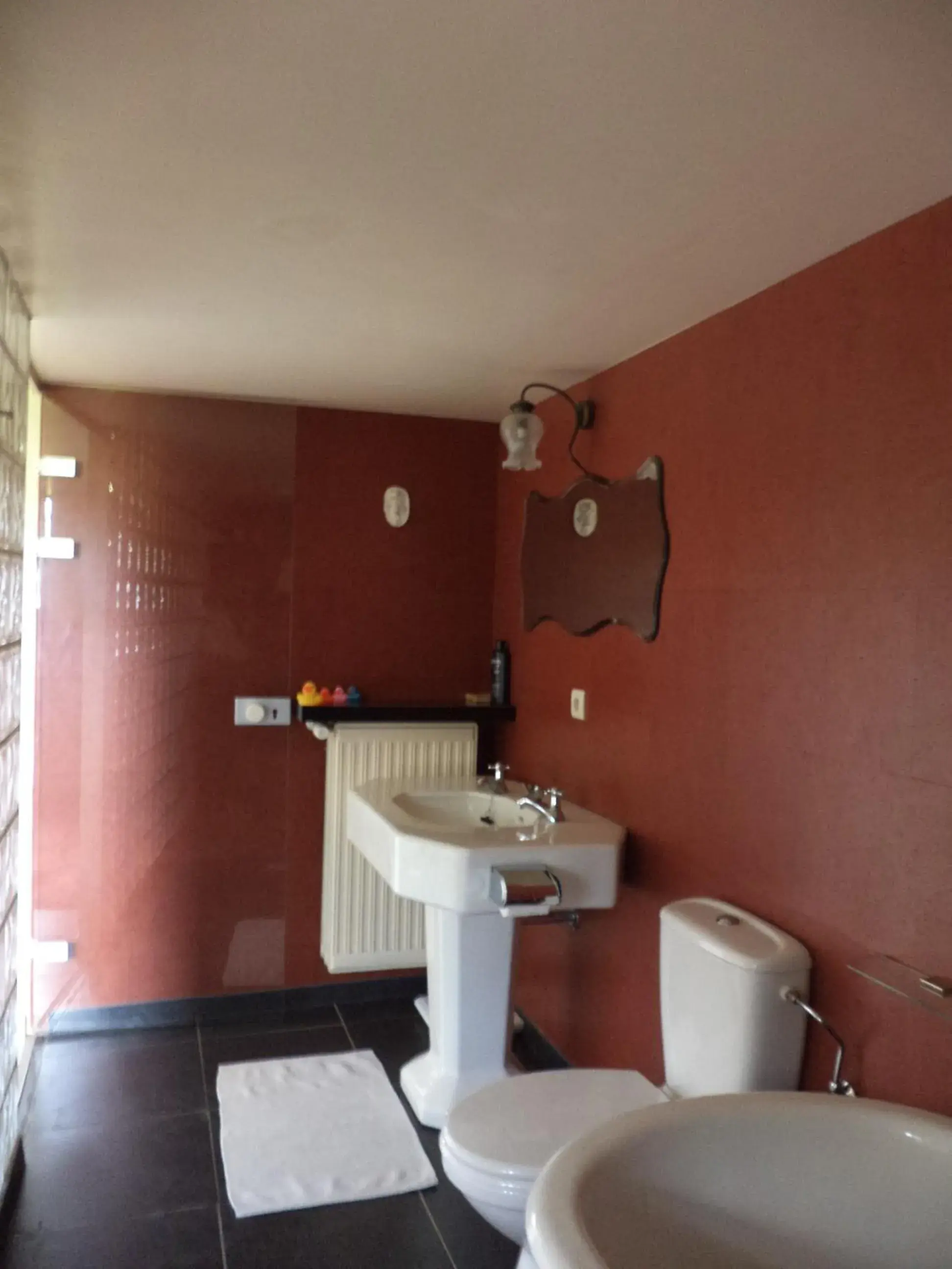 Classic Double Room with Terrace - single occupancy in B&B De Vlaschaerd Classic Double Room with Terrace - single occupancy in B&B De Vlaschaerd