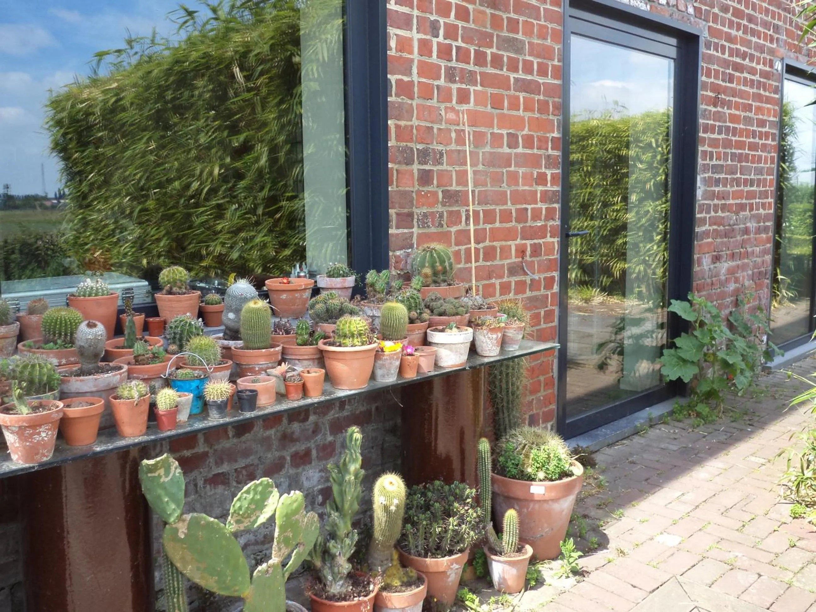 Garden in B&B De Vlaschaerd