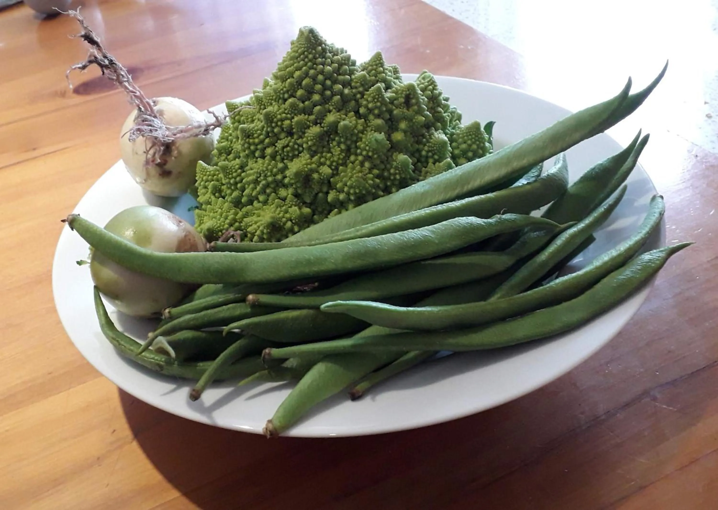 Food in Western House B&B Kurow