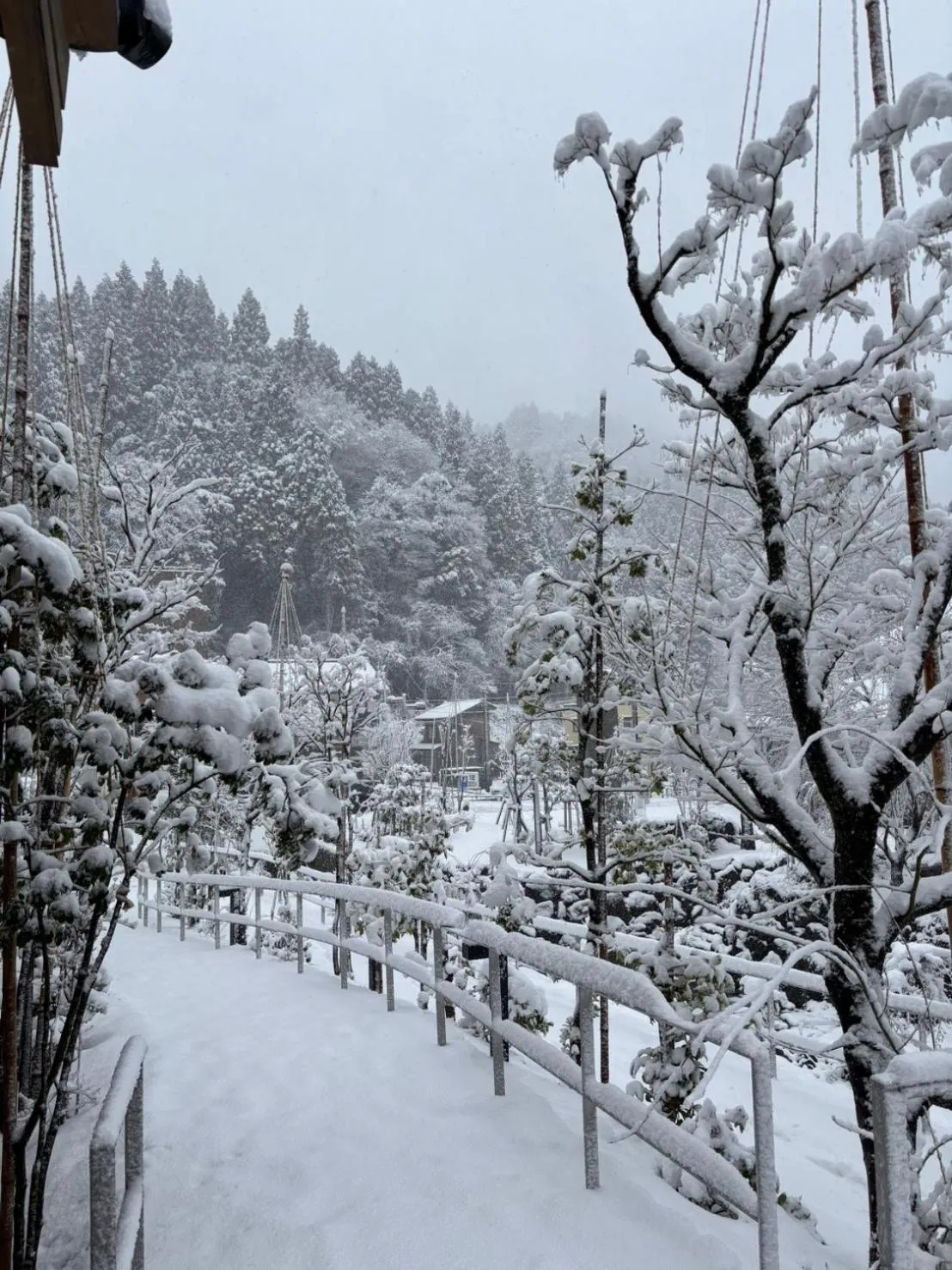 Property building in Eiheiji Hakujukan
