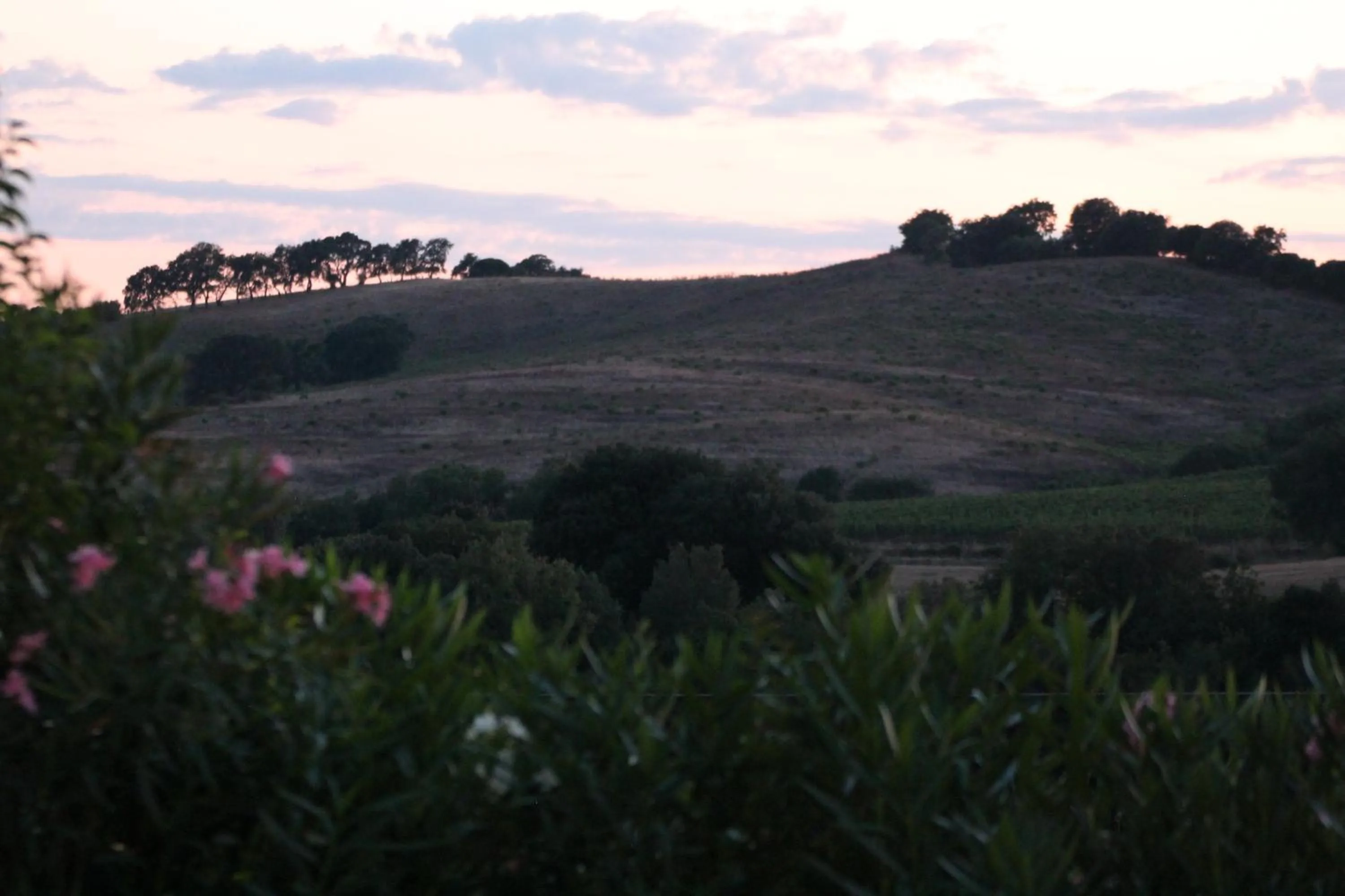 Agriturismo Pian dei Pini
