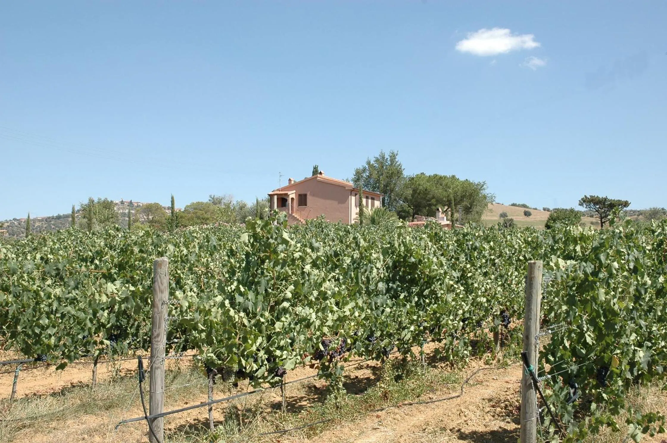 On site in Agriturismo Pian dei Pini