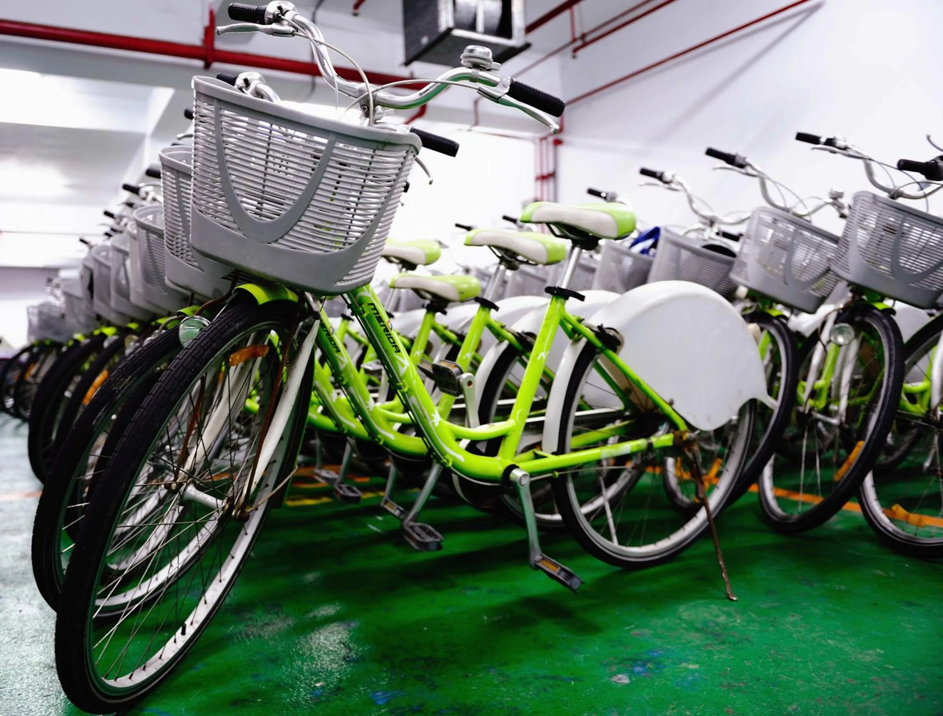 Activities in East Coast Sea View Hotel