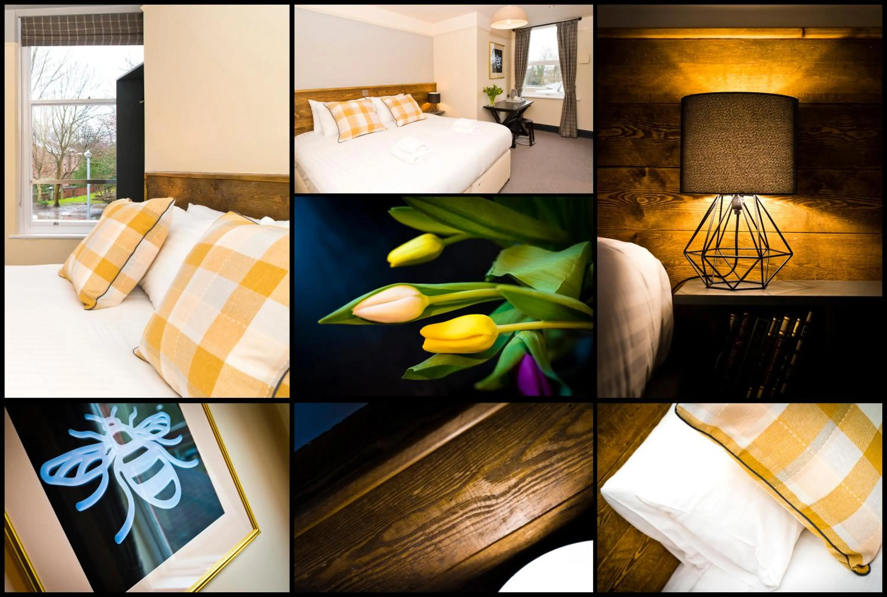 Bedroom, Bed in Bowling Green