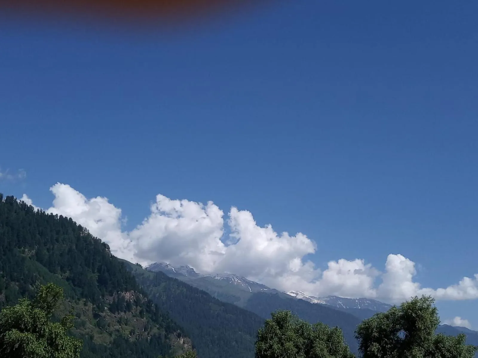 Natural landscape in Tourist Hotel 10 minutes walking distance from the mall