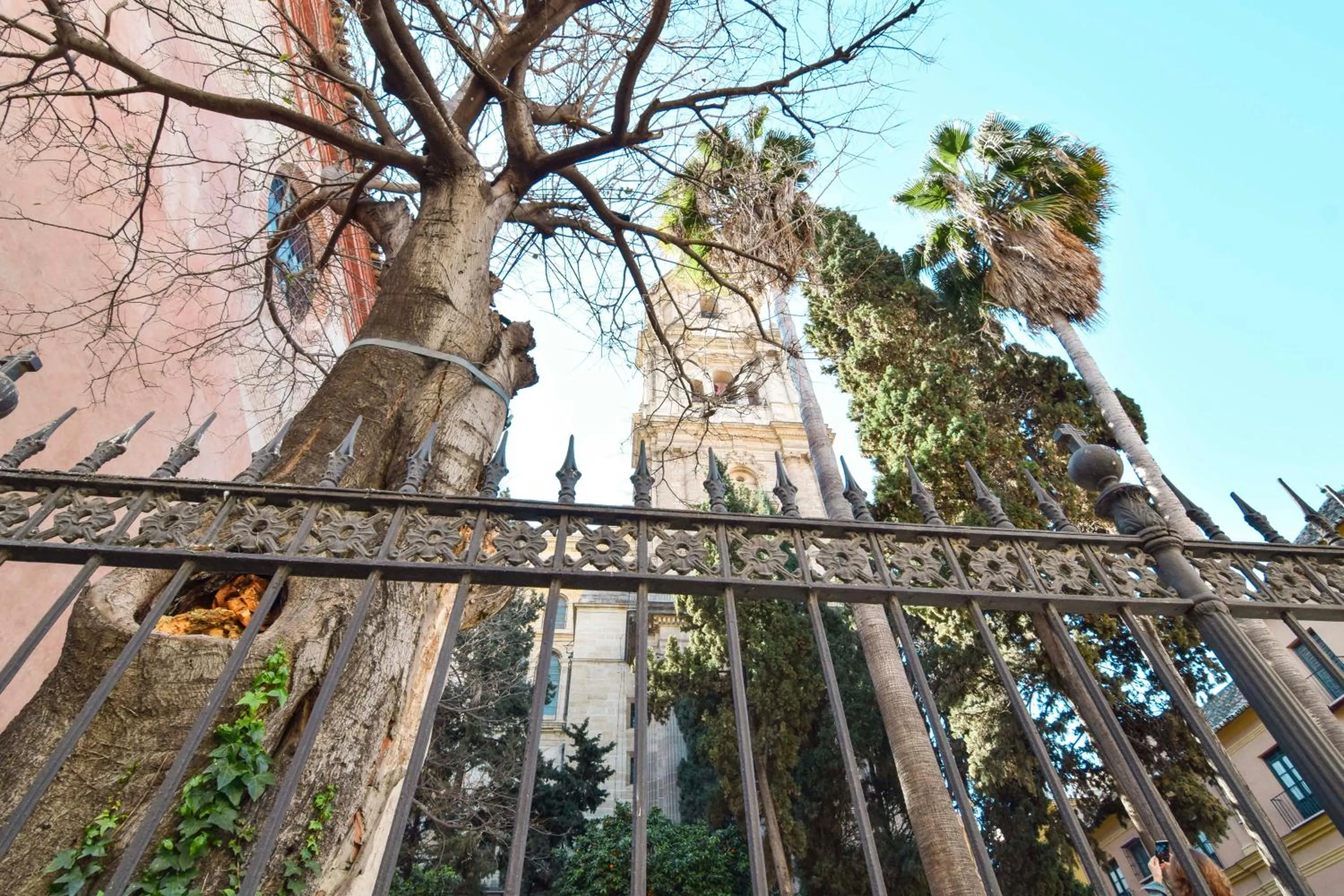 Nearby landmark in Suite Premium - Cathedral of Malaga
