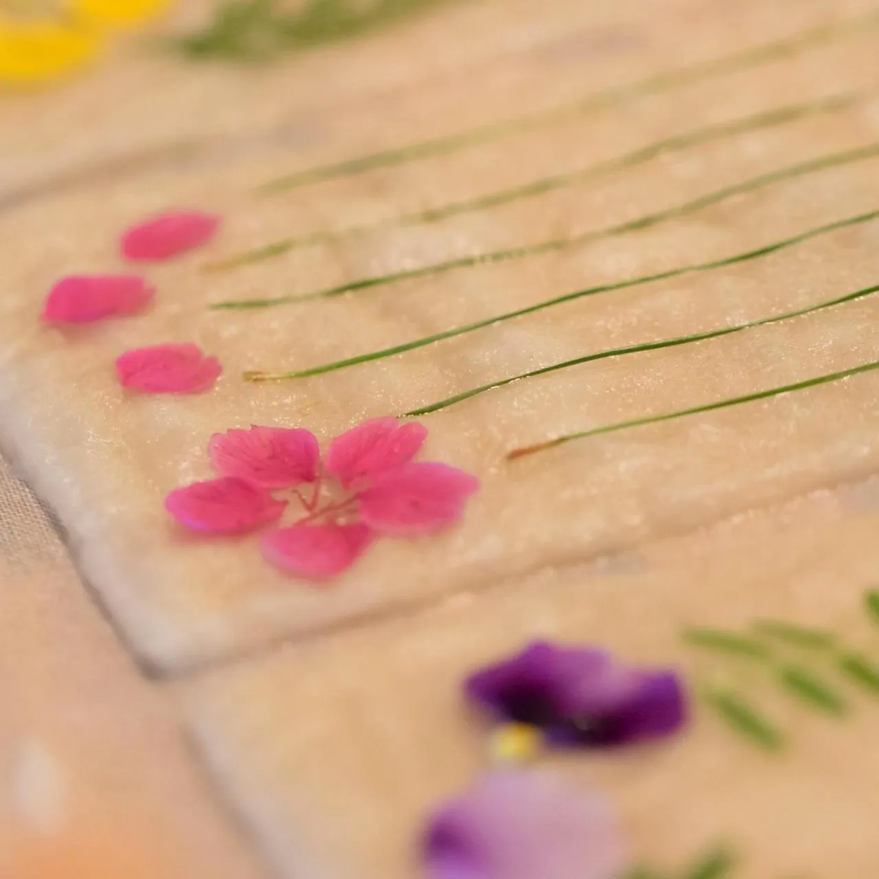 Activities in Kona Stay Bicycle Resort