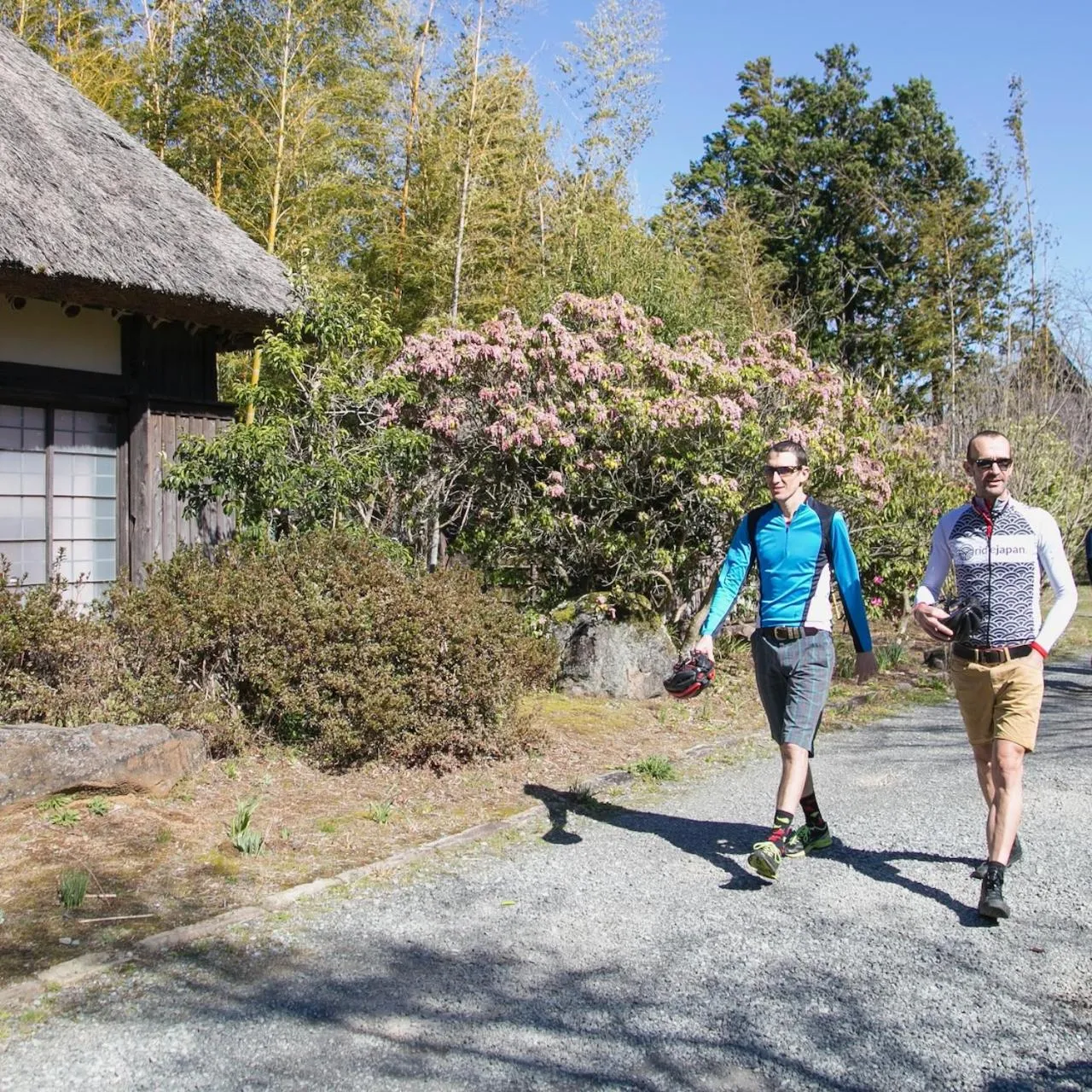 Activities in Kona Stay Bicycle Resort