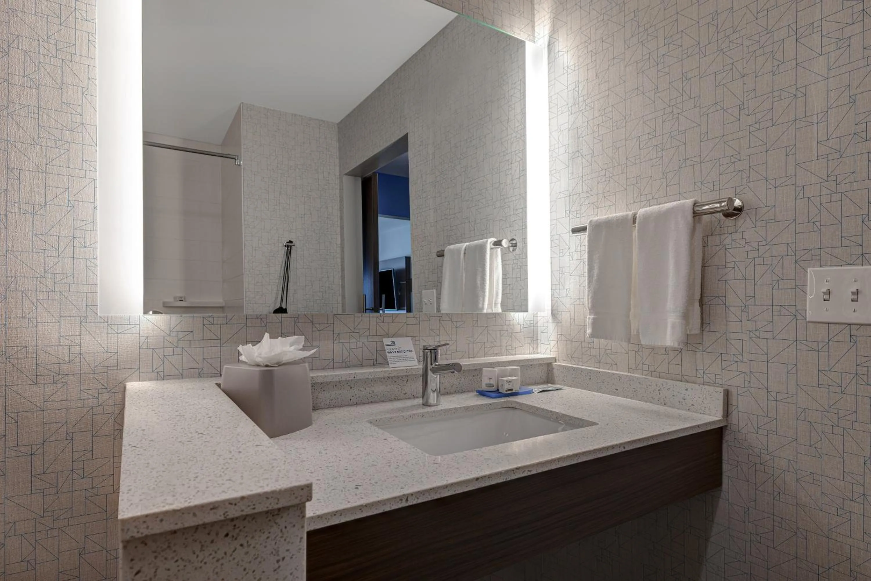 Bathroom in Holiday Inn Express & Suites - Brighton by IHG