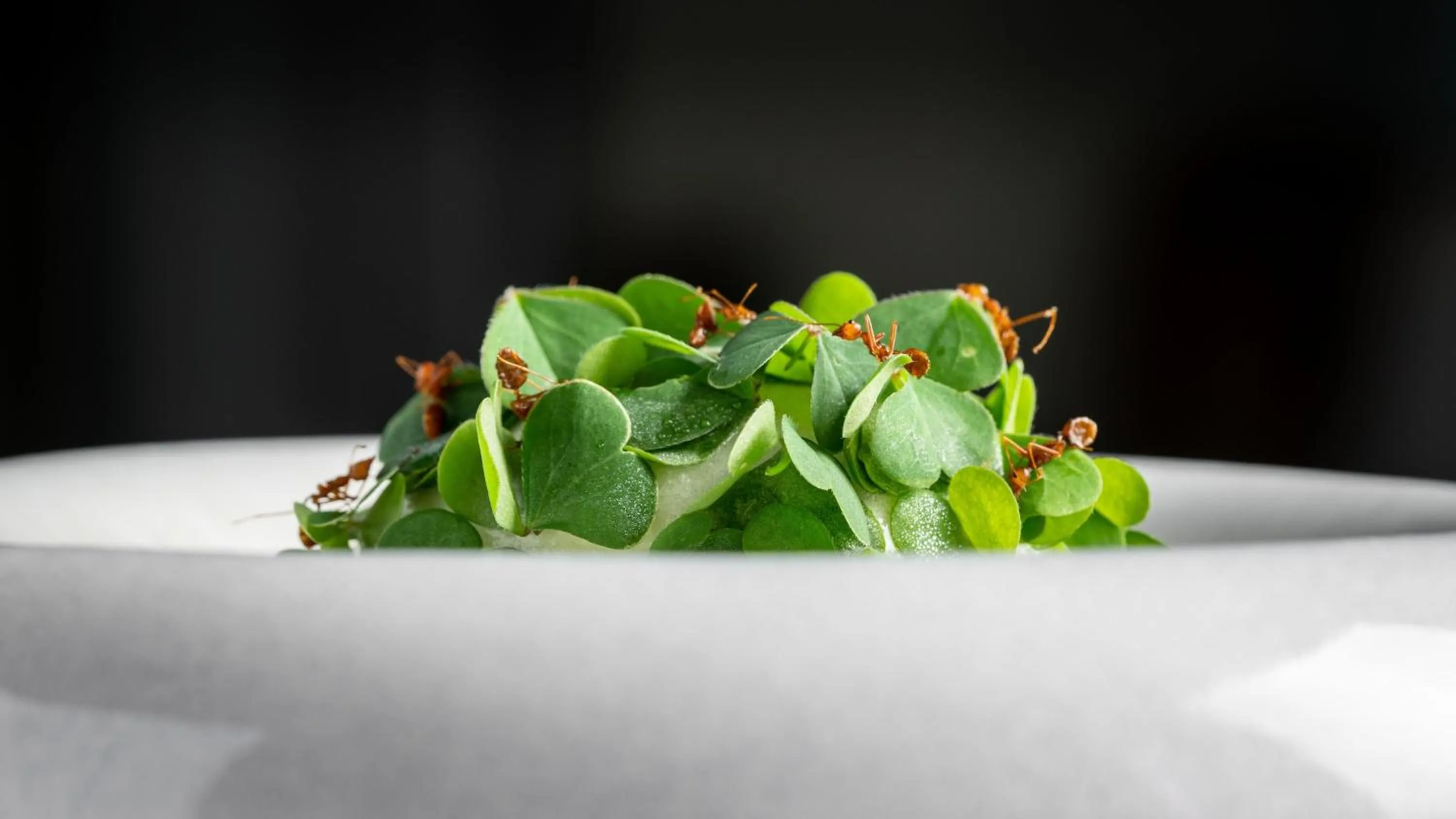 Restaurant/places to eat in InterContinental Phuket Resort by IHG