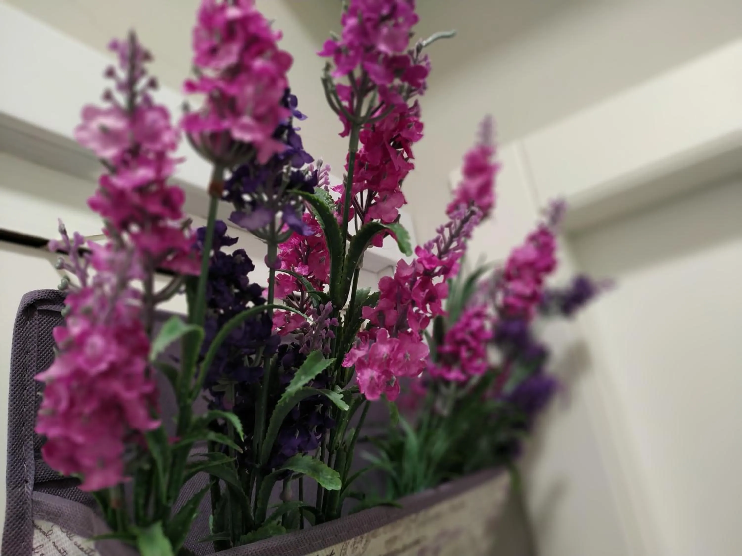 Guest House Foligno Porta Romana