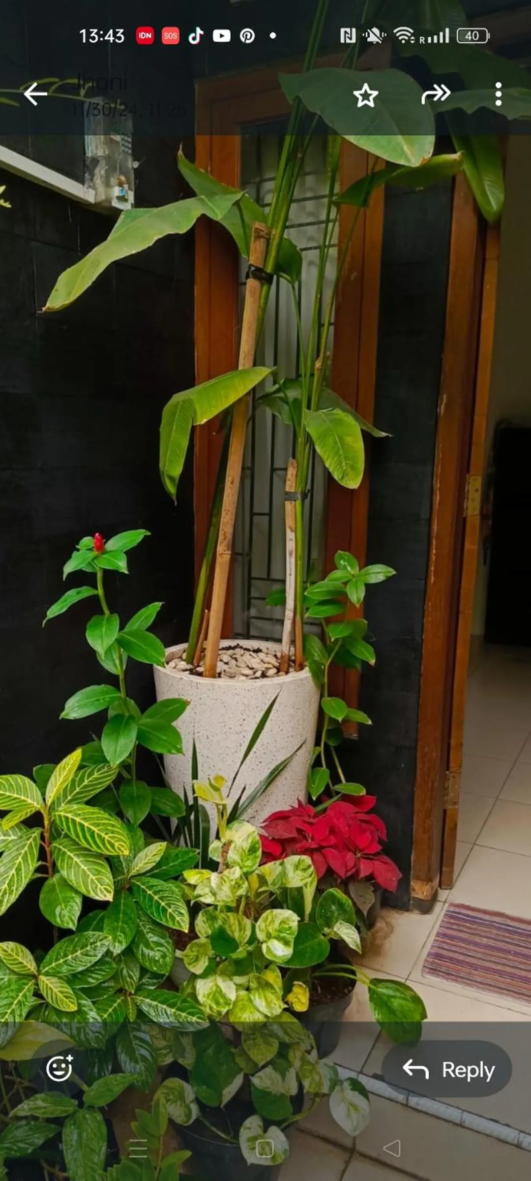 ChiGhaya Guest House