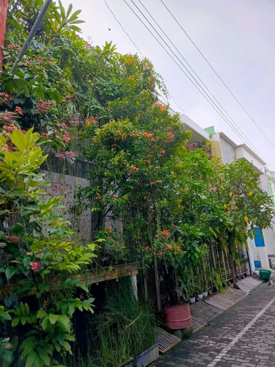 ChiGhaya Guest House