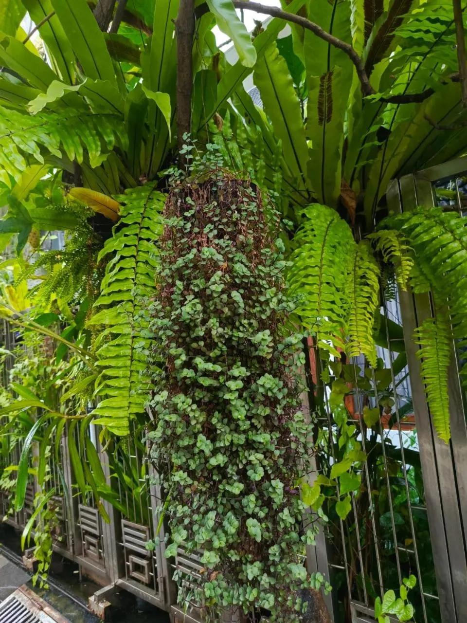 ChiGhaya Guest House