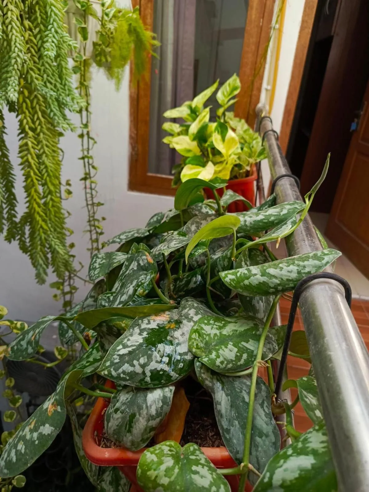 ChiGhaya Guest House
