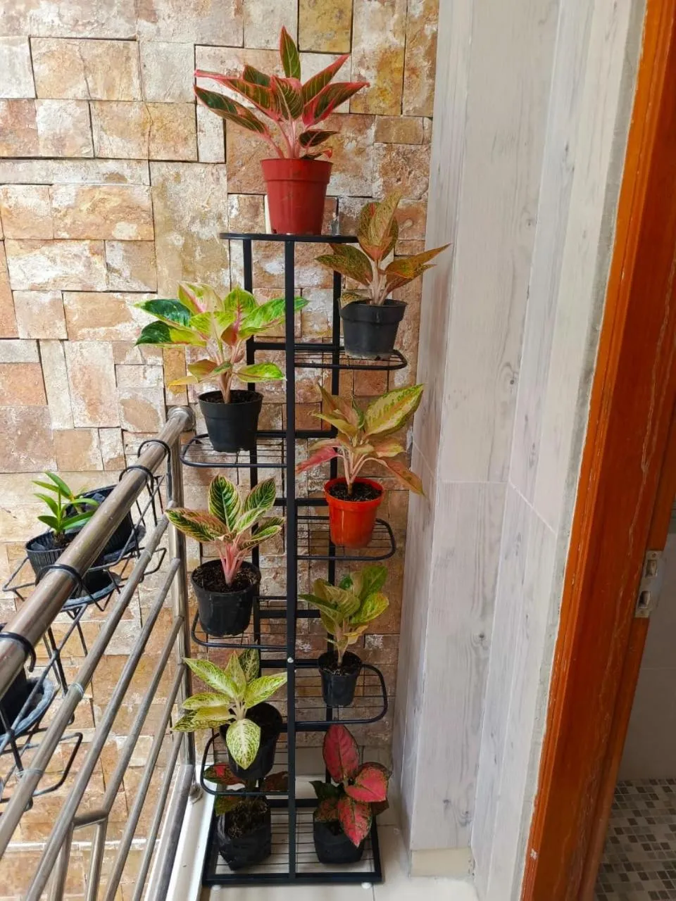ChiGhaya Guest House