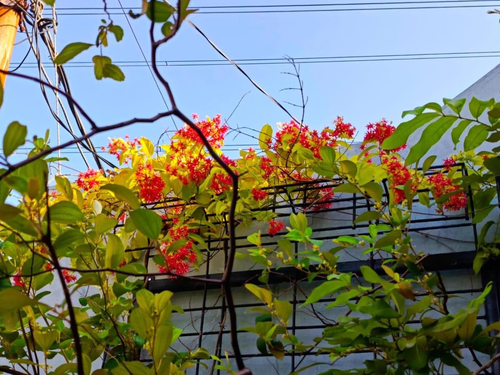 ChiGhaya Guest House