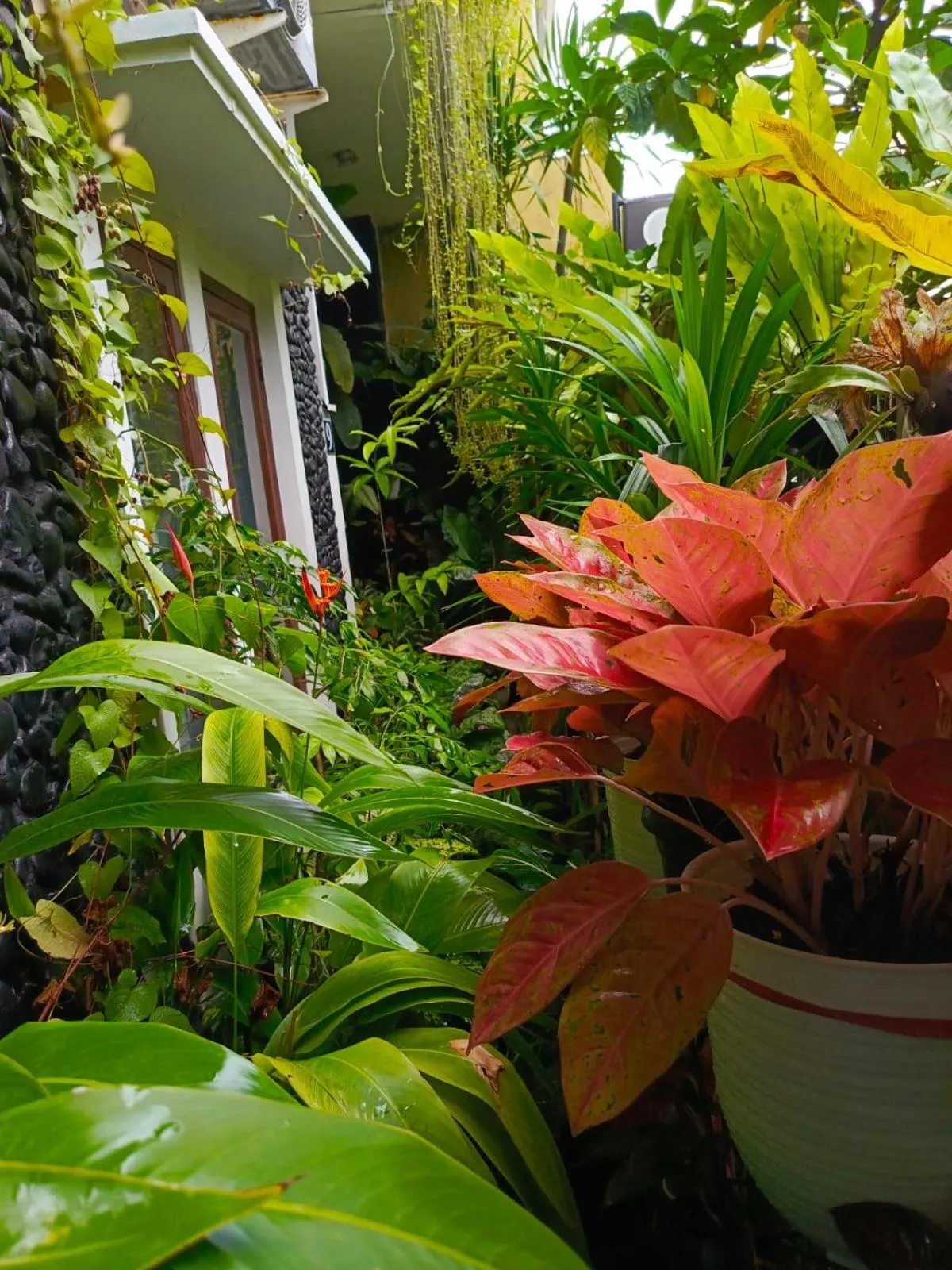 ChiGhaya Guest House