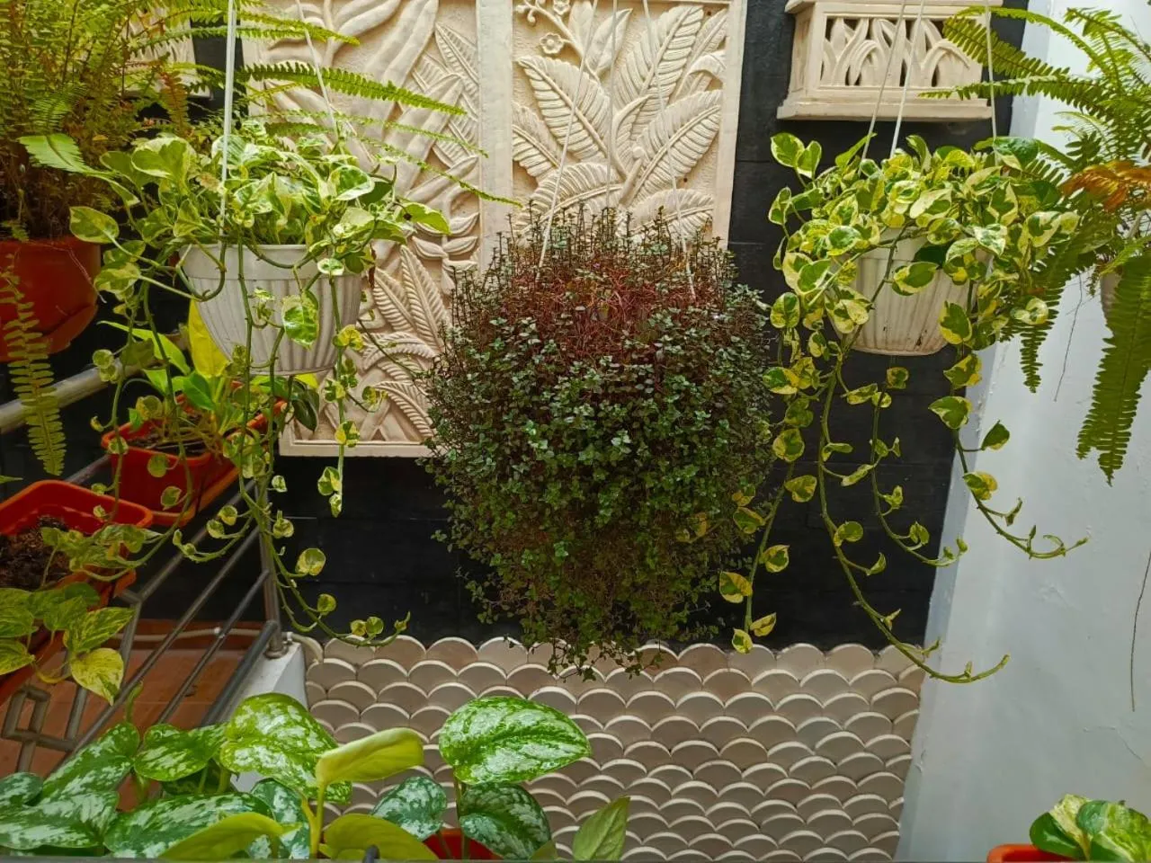 ChiGhaya Guest House
