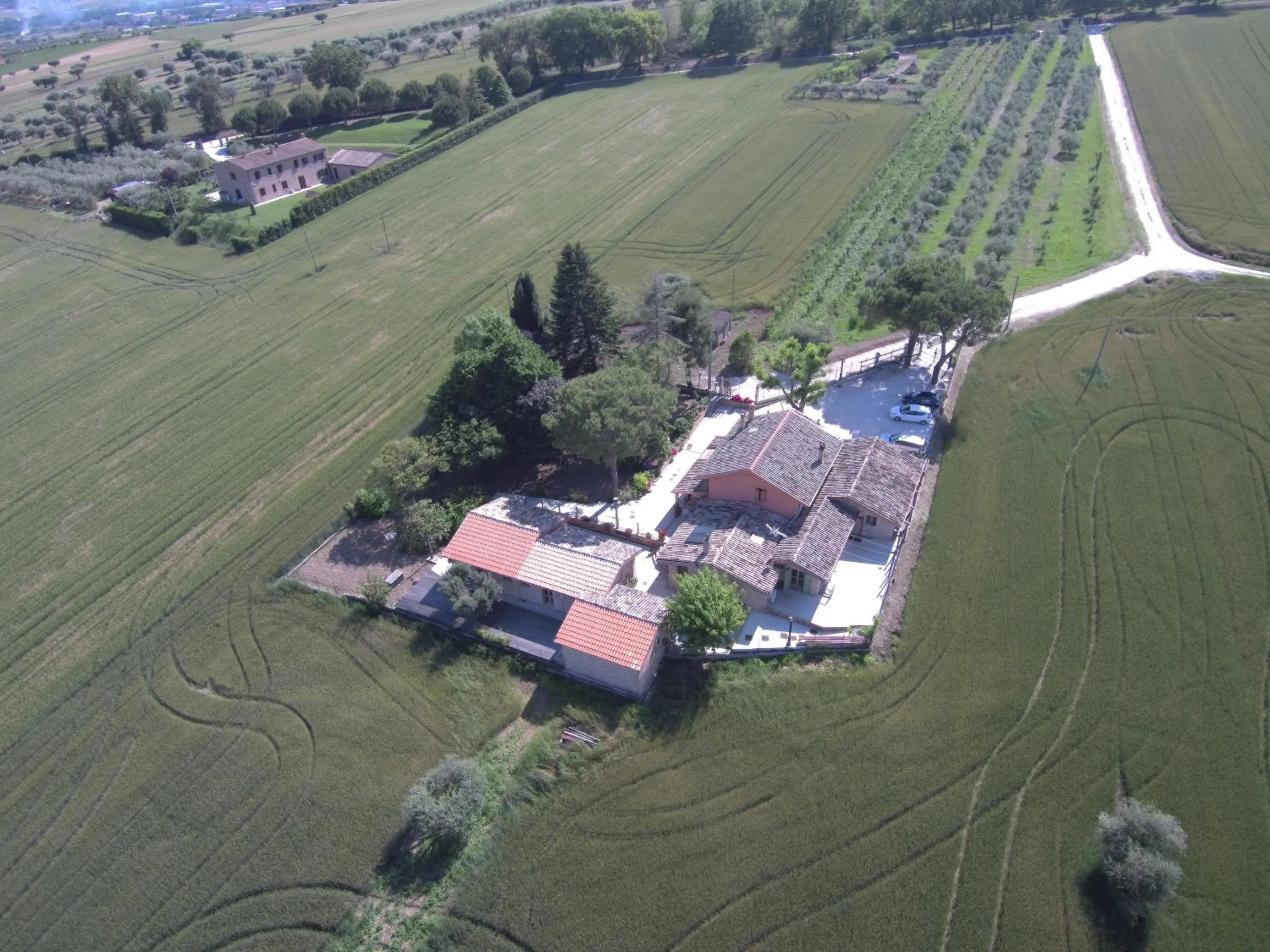 Bird's eye view in B&B Il Cavallino