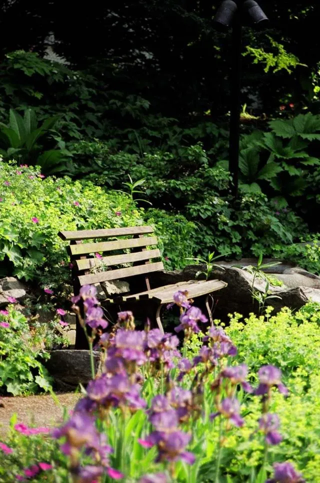 Garden in Haus Aja Textor-Goethe