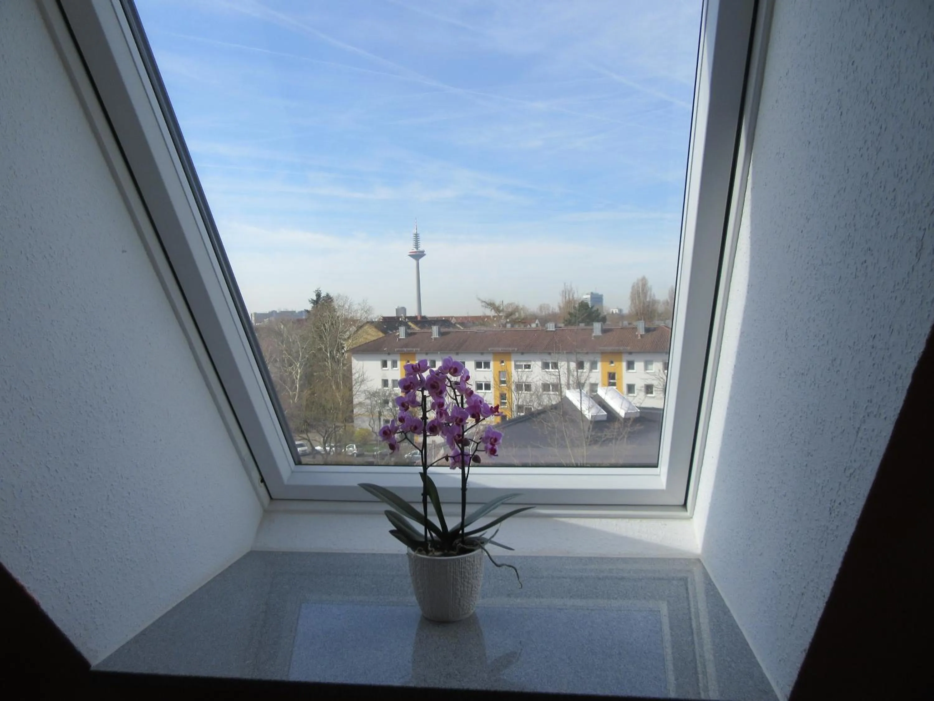 City view in Haus Aja Textor-Goethe