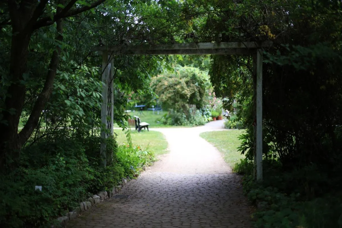 Garden view in Haus Aja Textor-Goethe