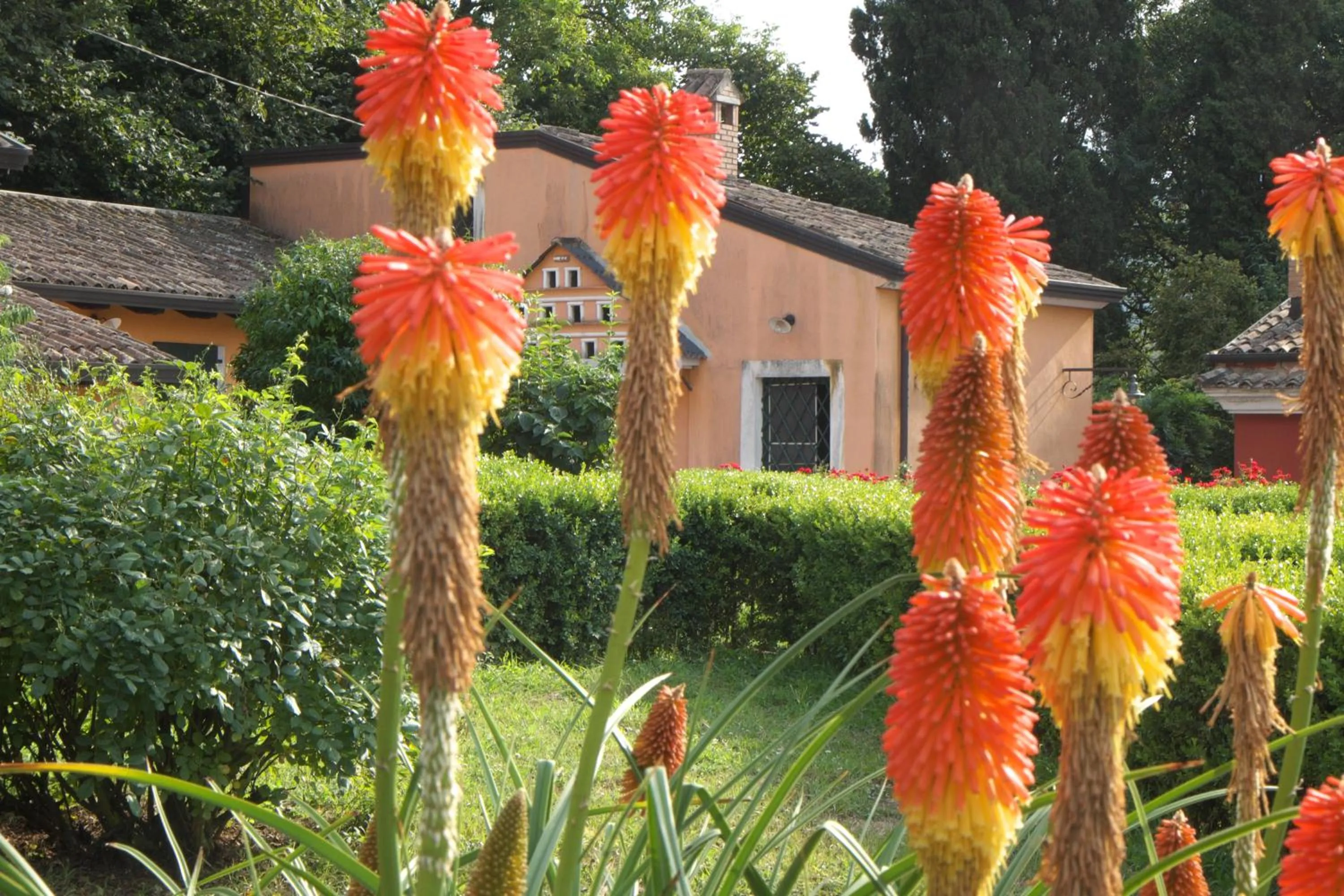 Garden in Podere San Raffaele