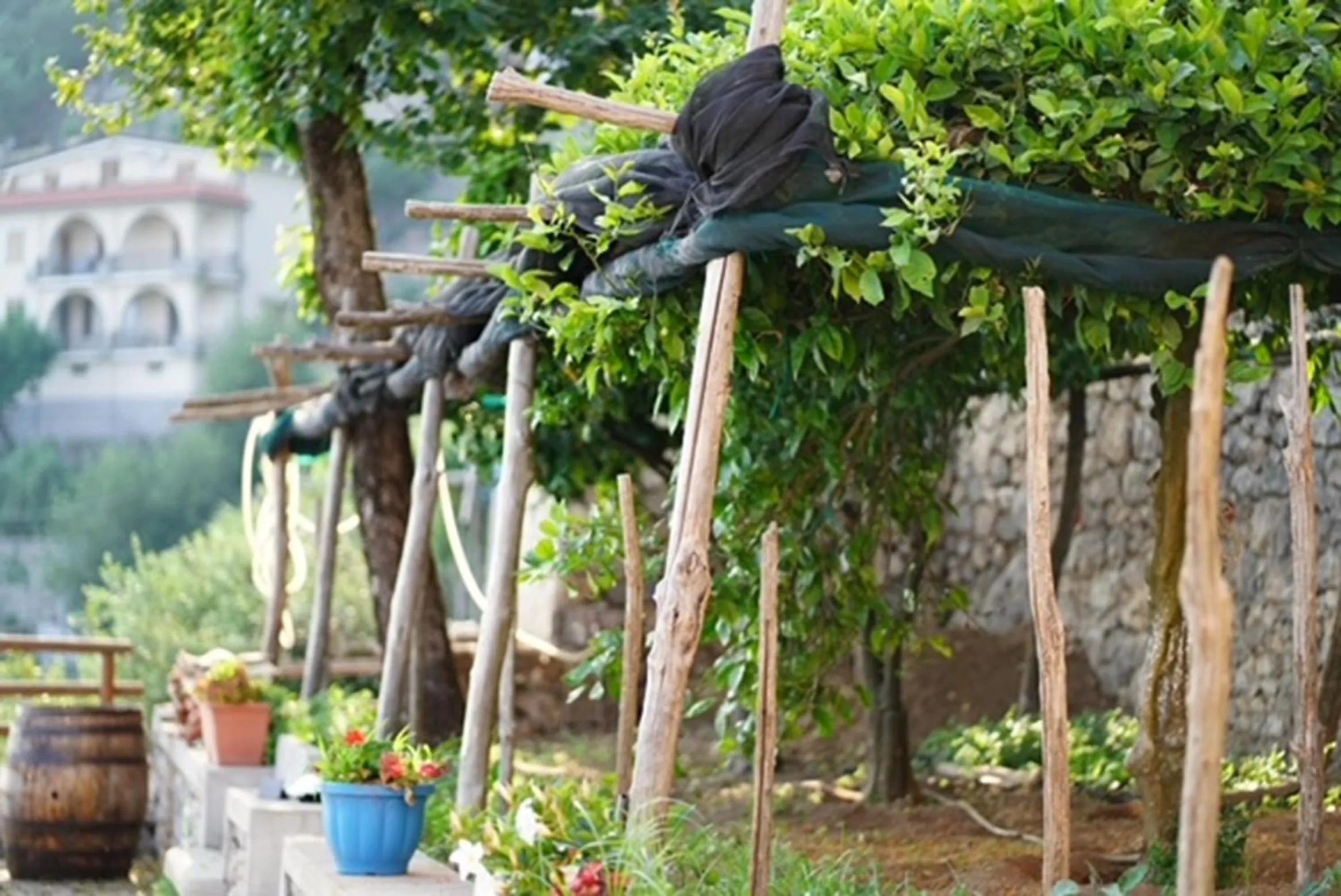 Garden in San Giacomo Relais