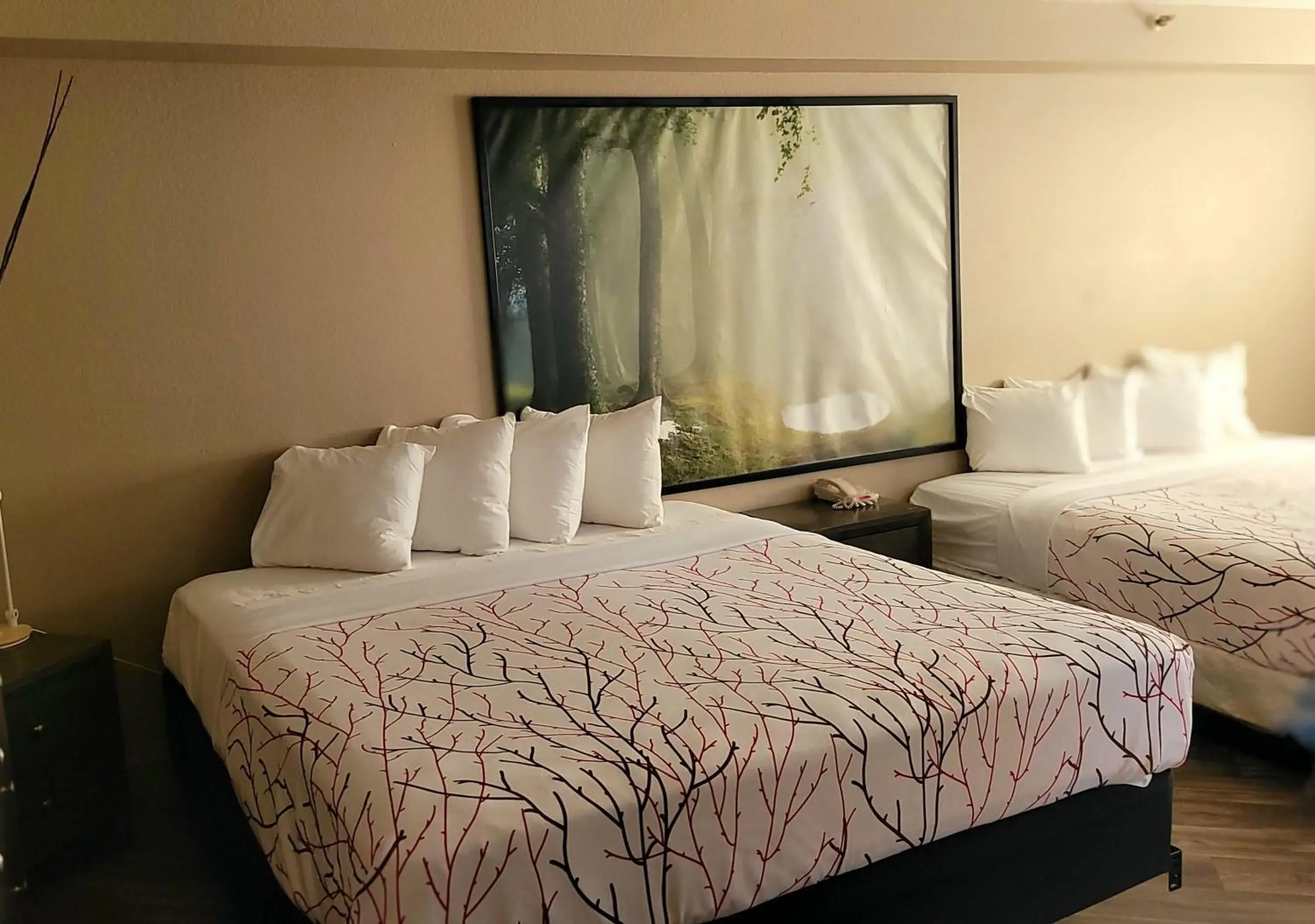 Bedroom, Bed in Rancho San Diego Inn & Suites