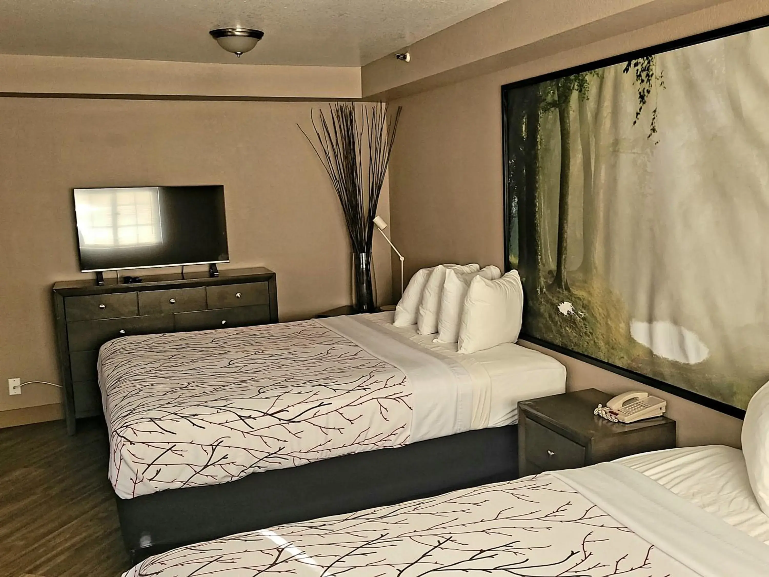 Bedroom, Bed in Rancho San Diego Inn & Suites