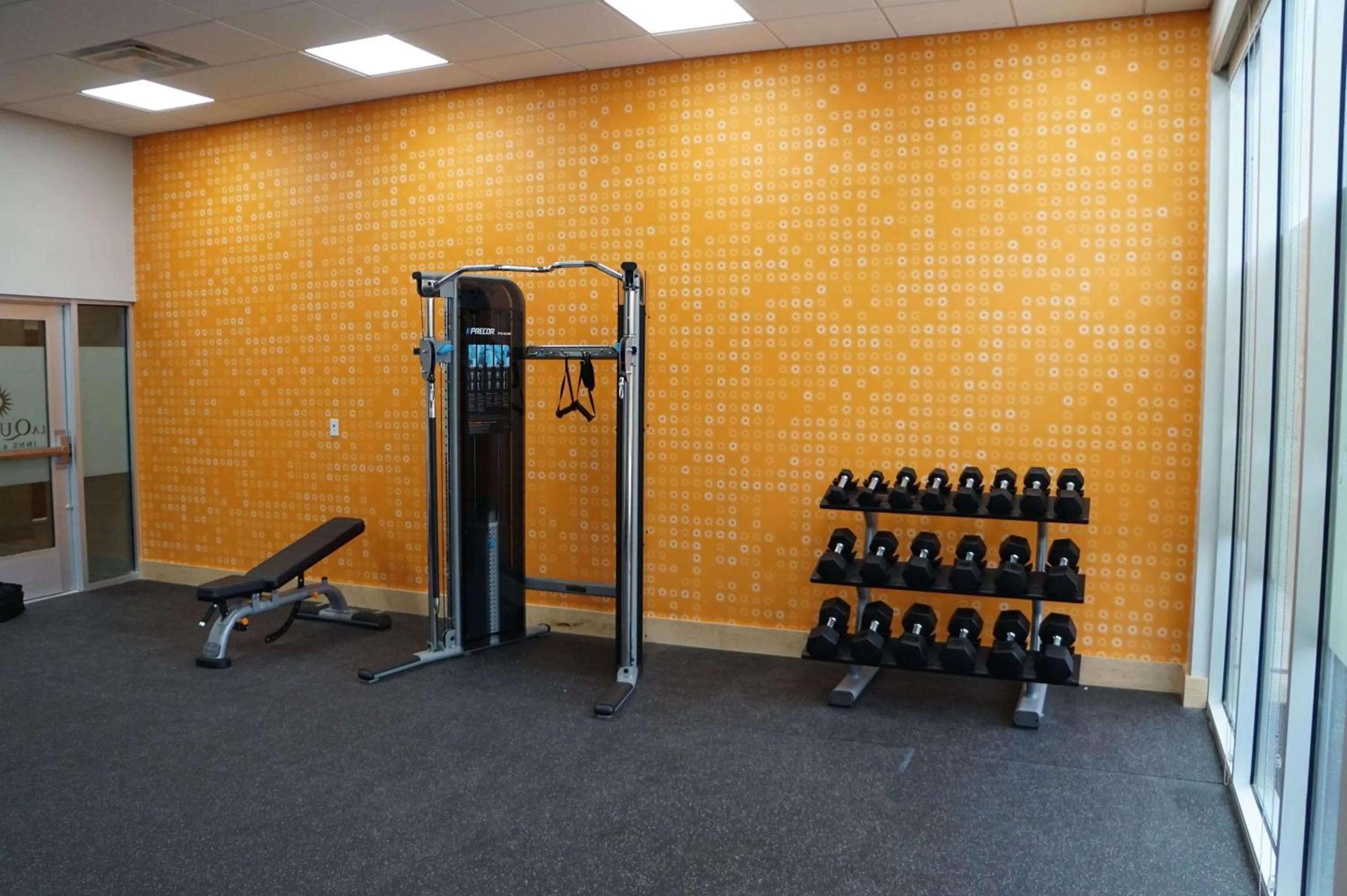 Fitness centre/facilities in La Quinta Inn & Suites by Wyndham Lewisville