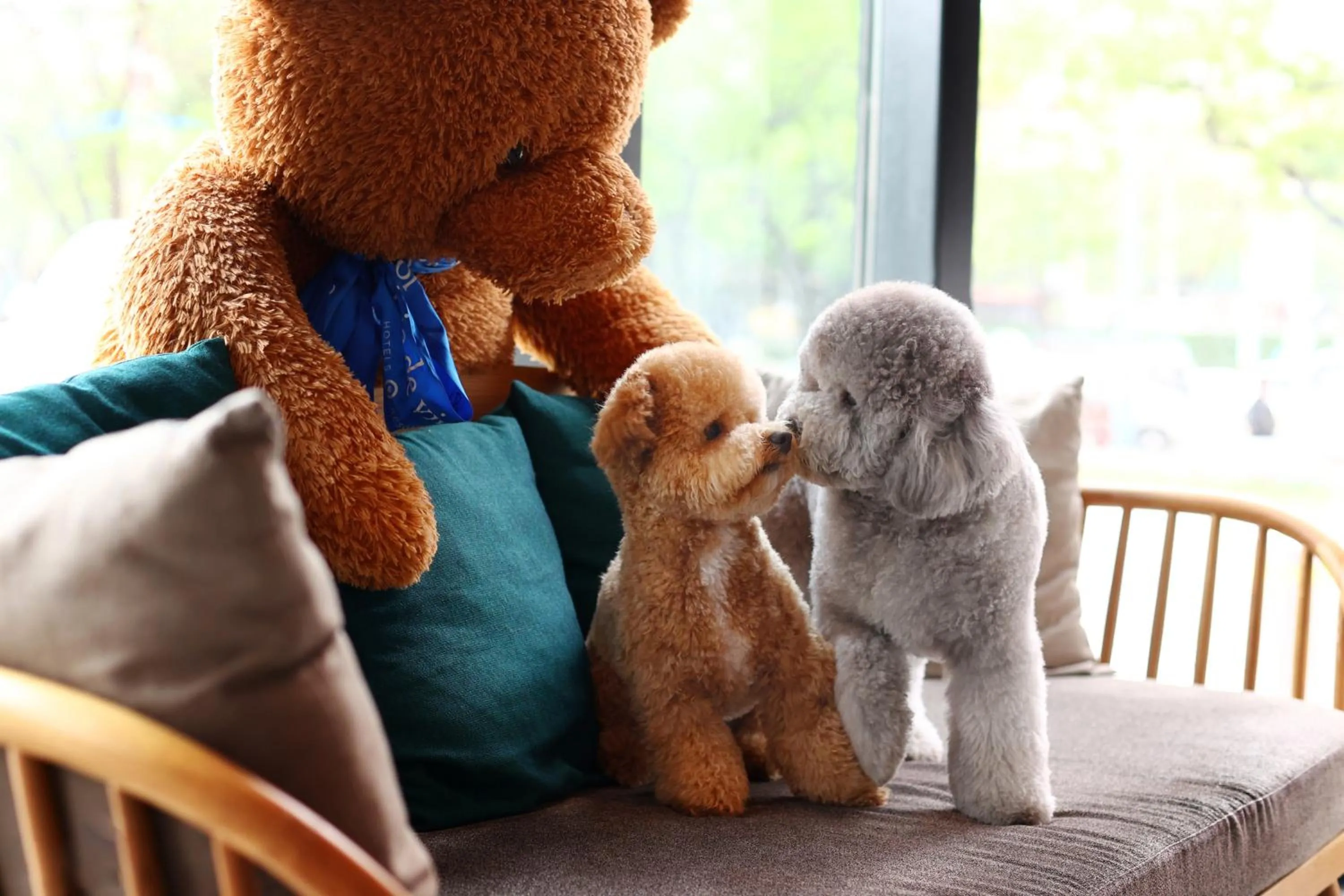 pet friendly in BEI Zhaolong Hotel, JdV by Hyatt