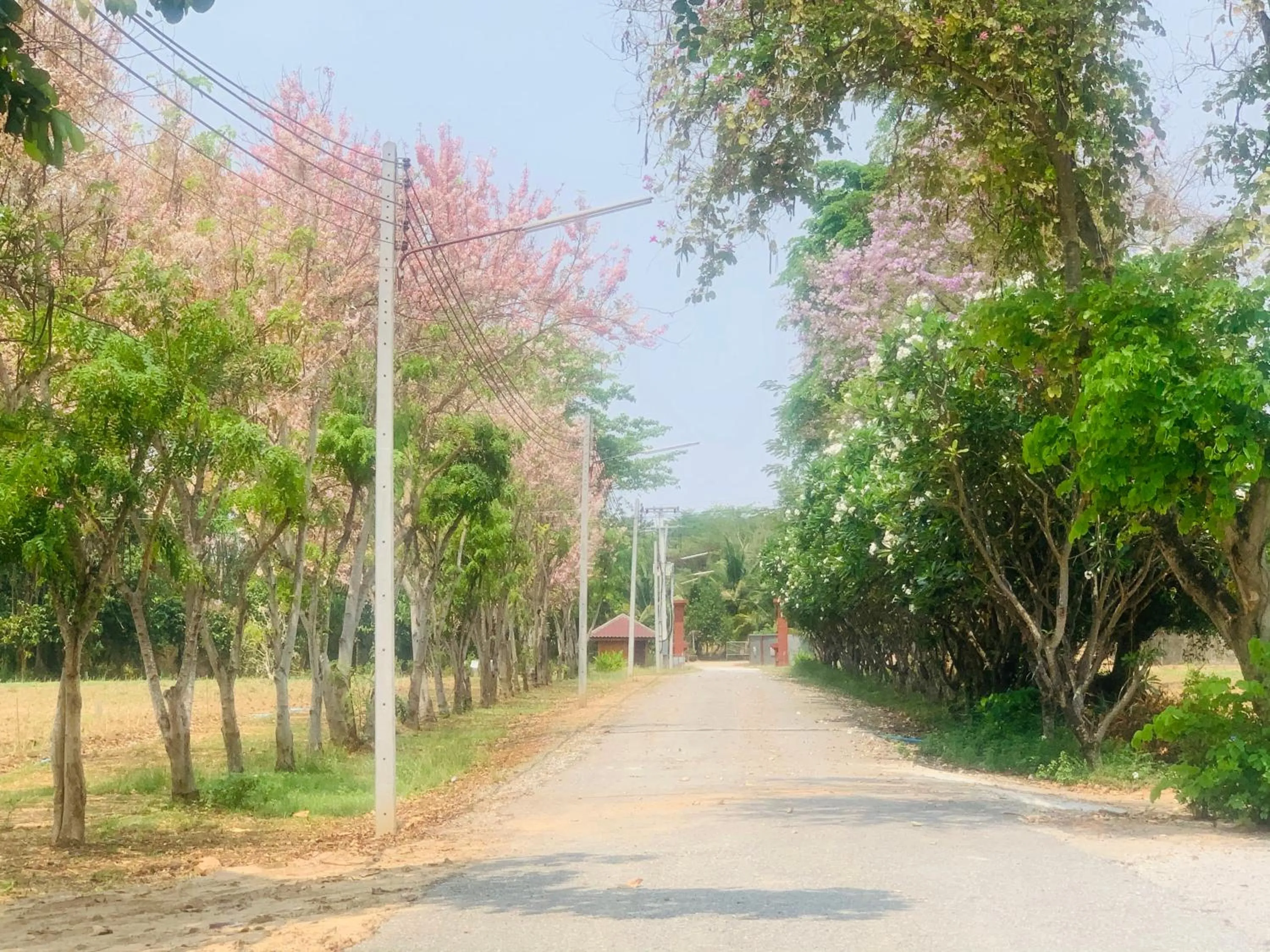 Street view in Buasawan Resort & Restaurant