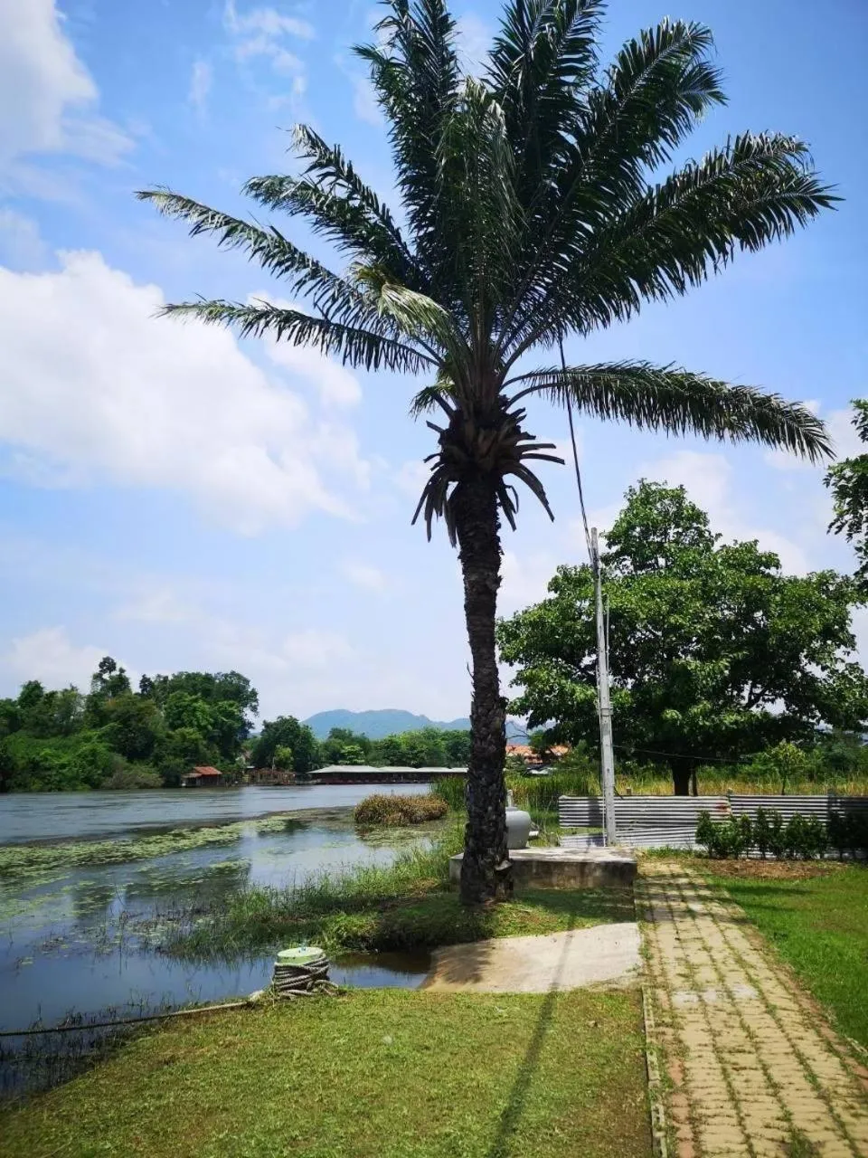 River view in Buasawan Resort & Restaurant