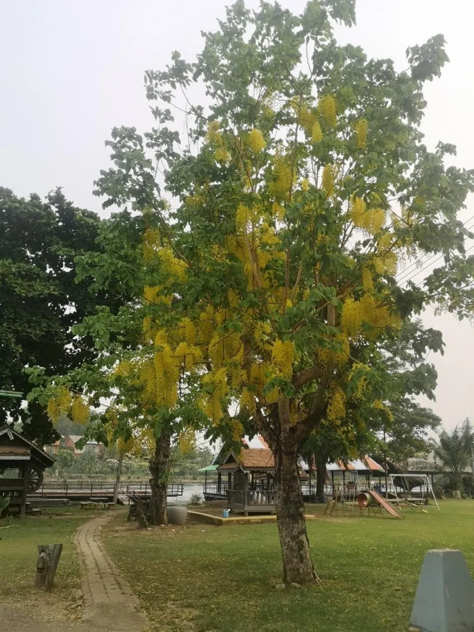 Garden view in Buasawan Resort & Restaurant