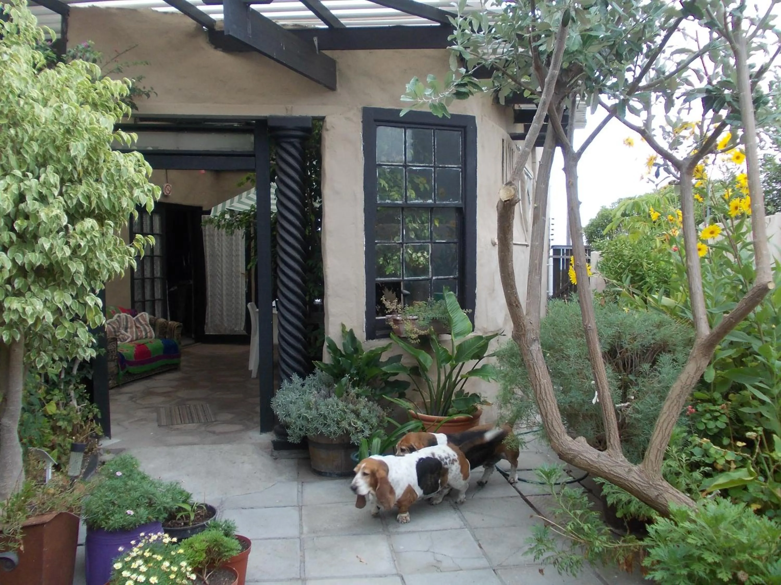 Patio in Villa Ocean Crest B&B