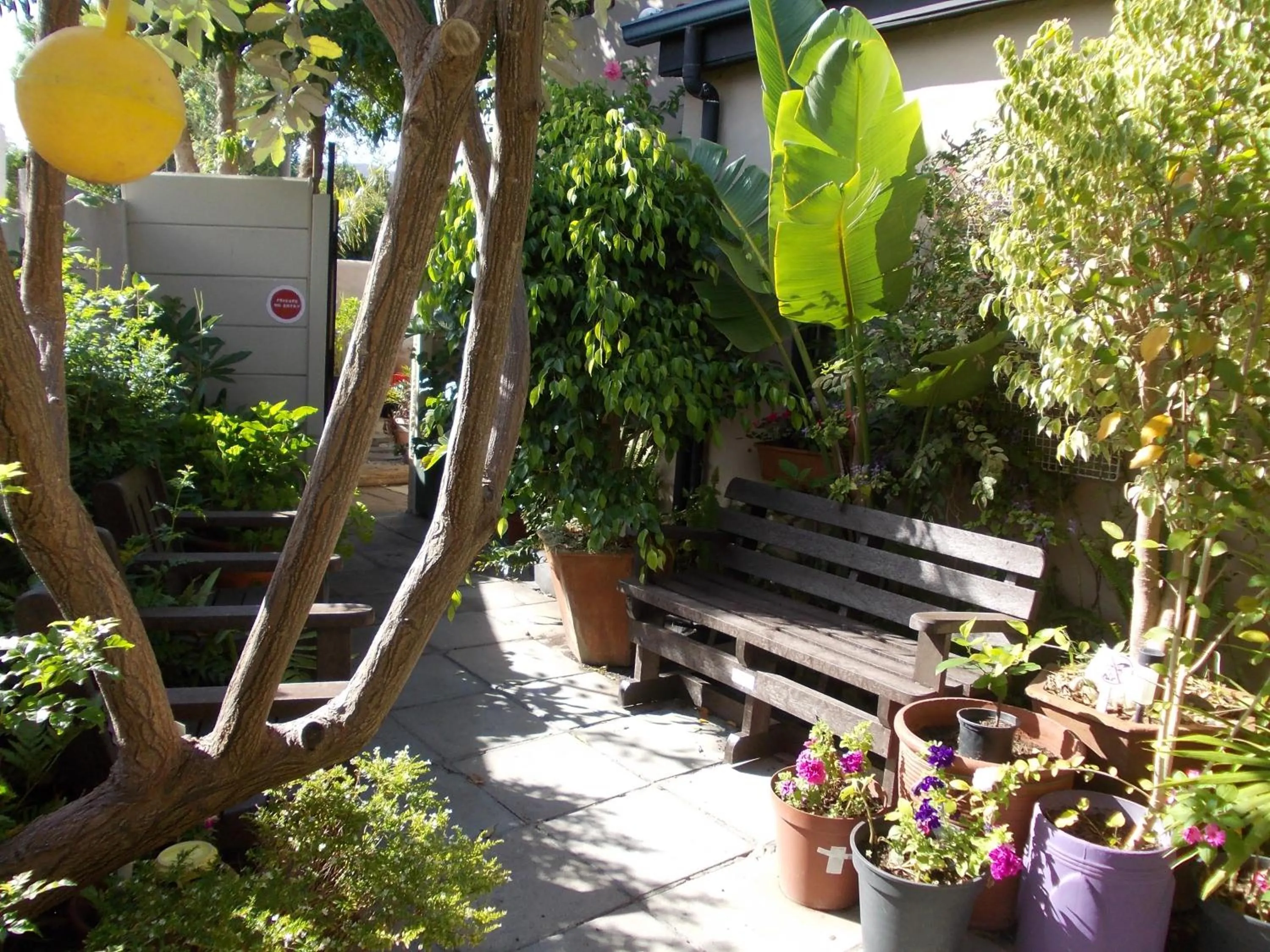 Patio in Villa Ocean Crest B&B