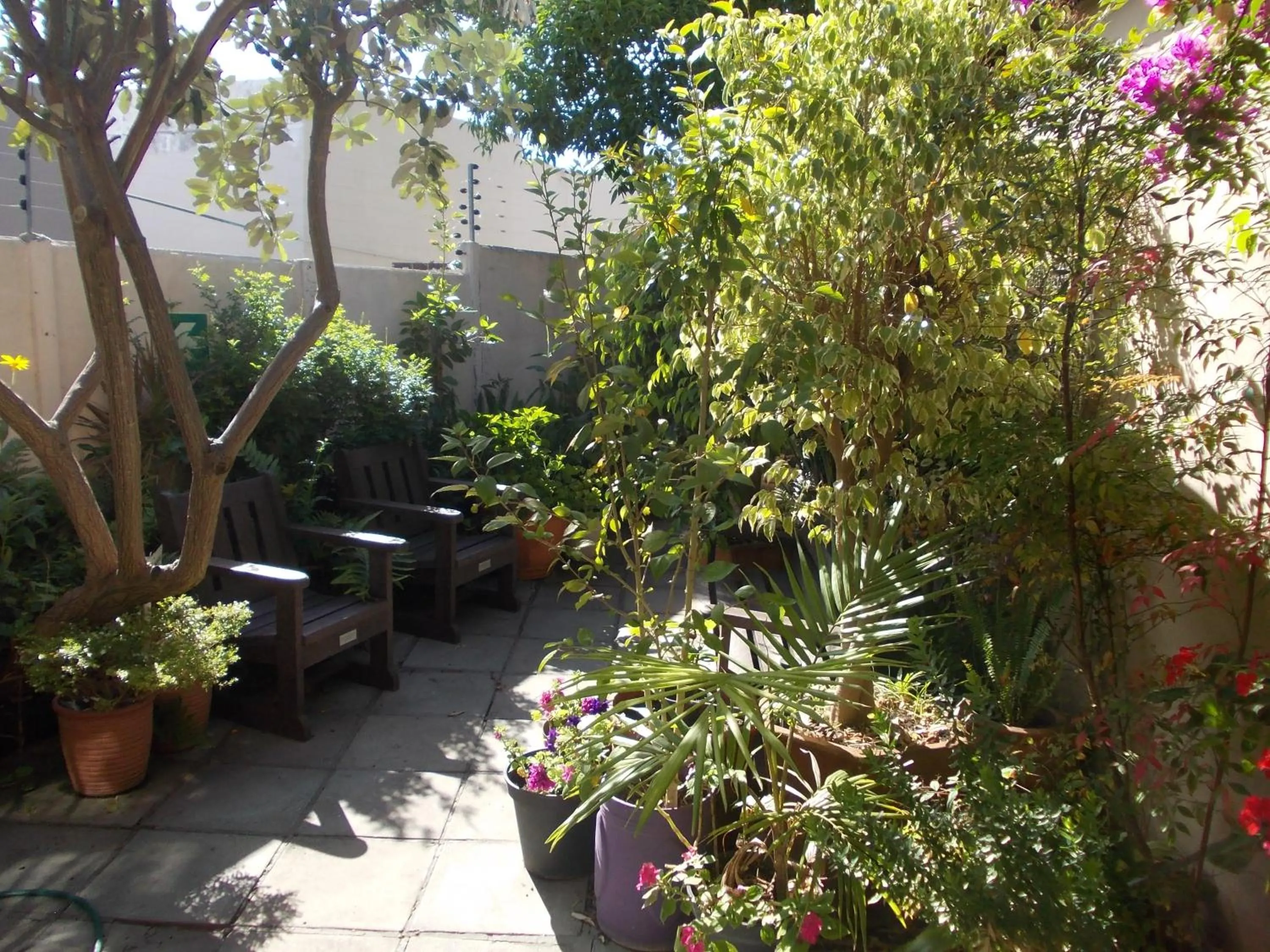 Patio in Villa Ocean Crest B&B