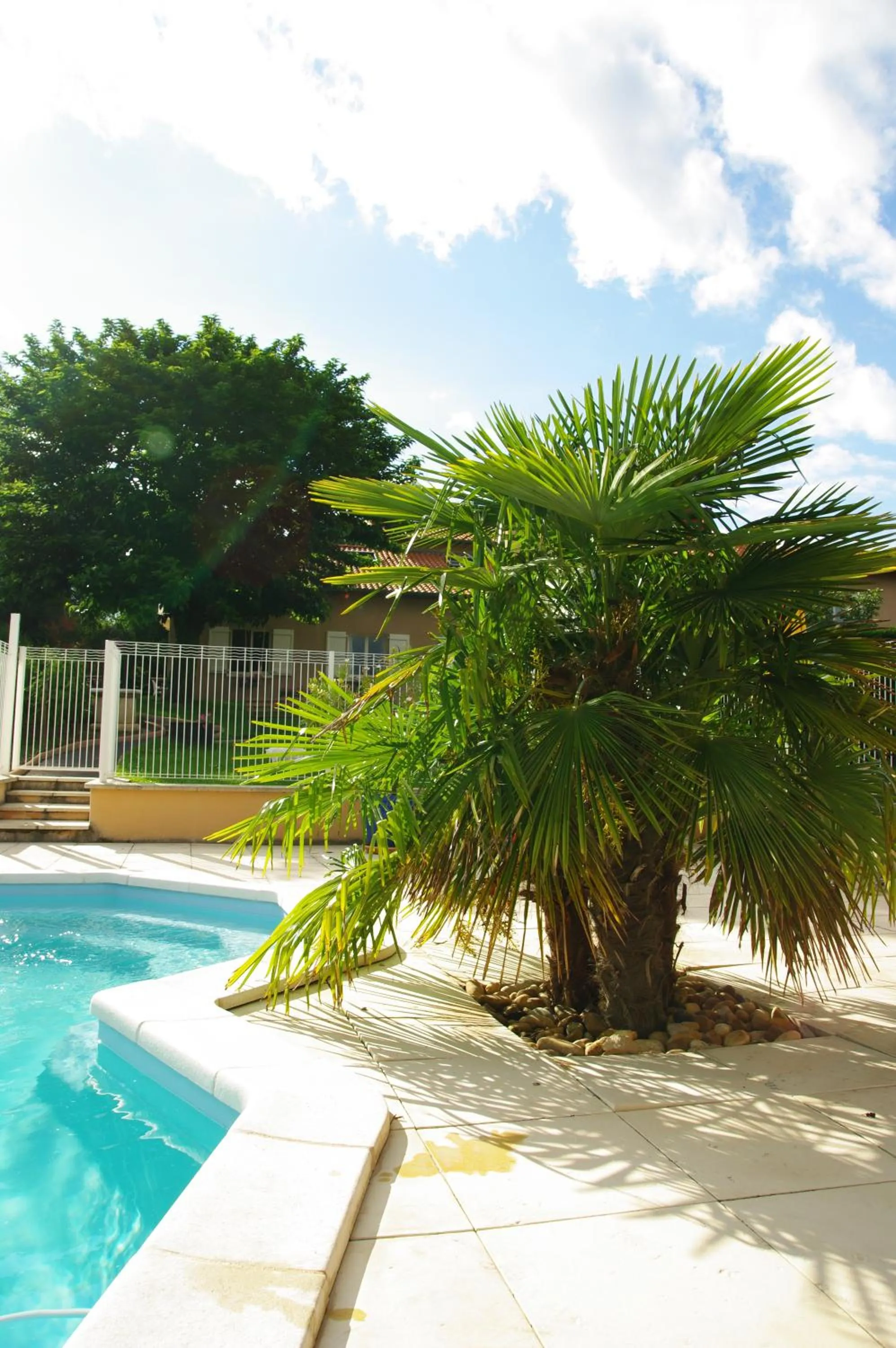 Swimming pool in Logis Hotel Des Grands Vins