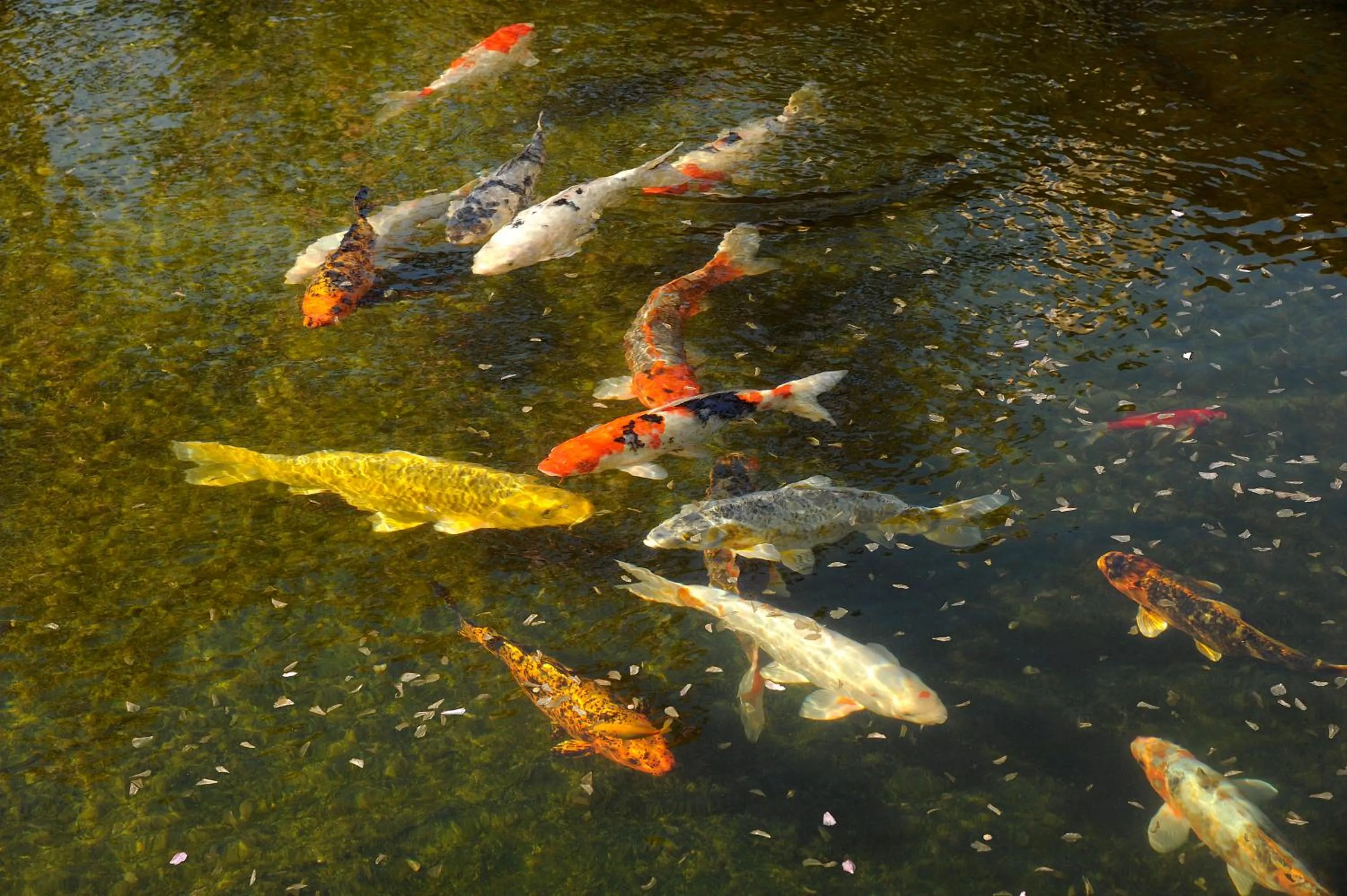 Other in Logis Hotel Des Grands Vins