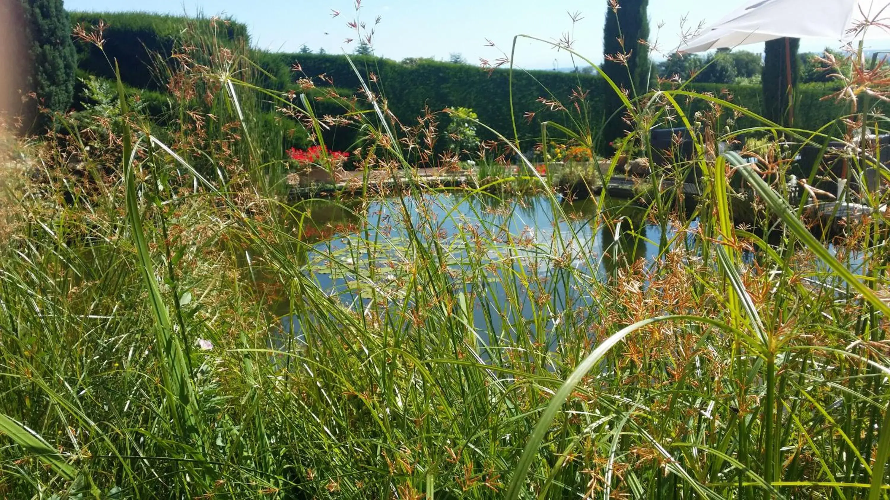 Logis Hotel Des Grands Vins Logis Hotel Des Grands Vins