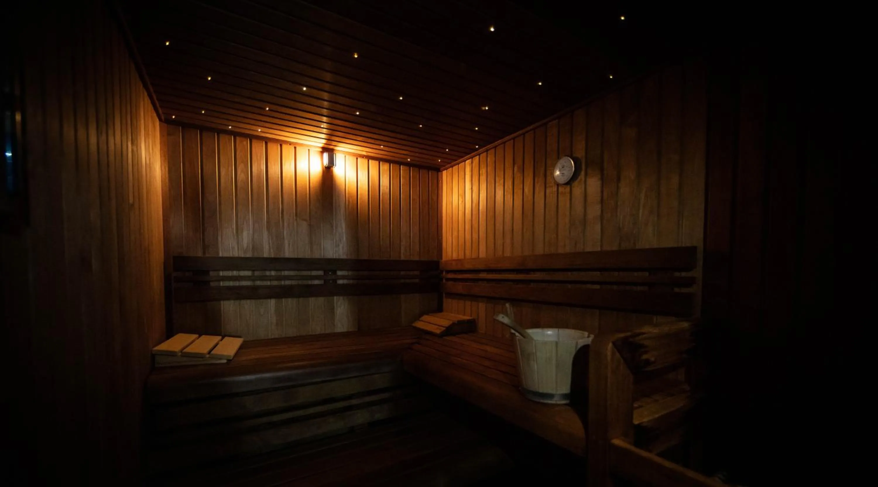 Sauna in Avenue Lodge Hotel & Spa