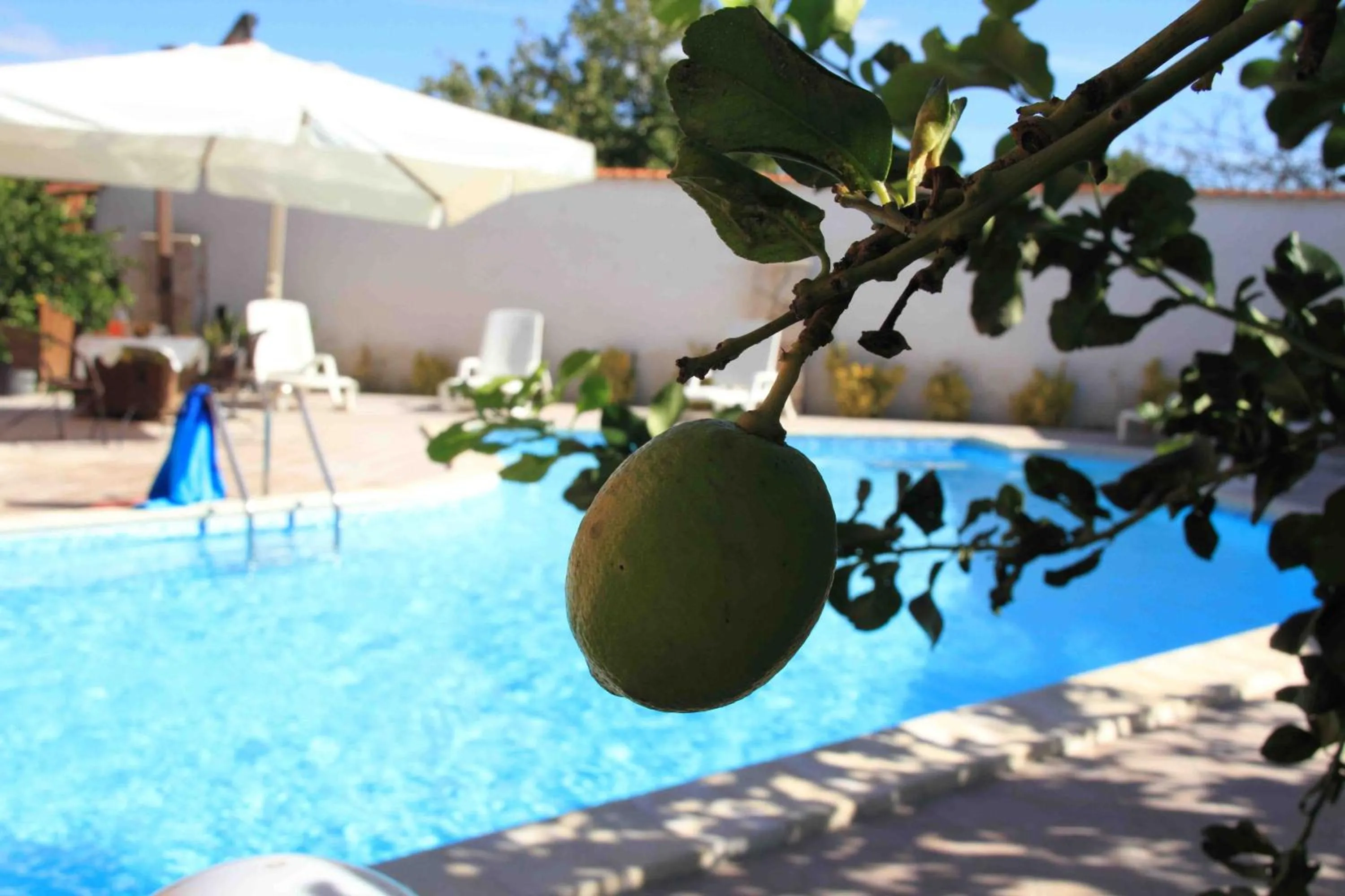 Decorative detail in Il Quadrifoglio