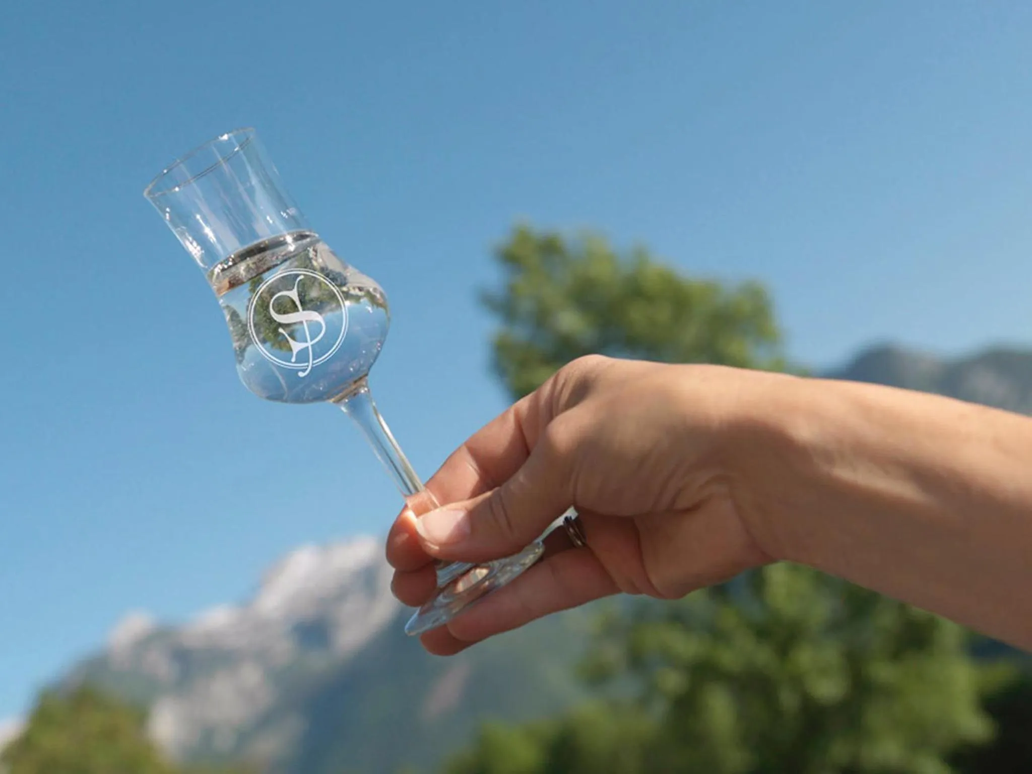 Alcoholic drinks in Stallerhof