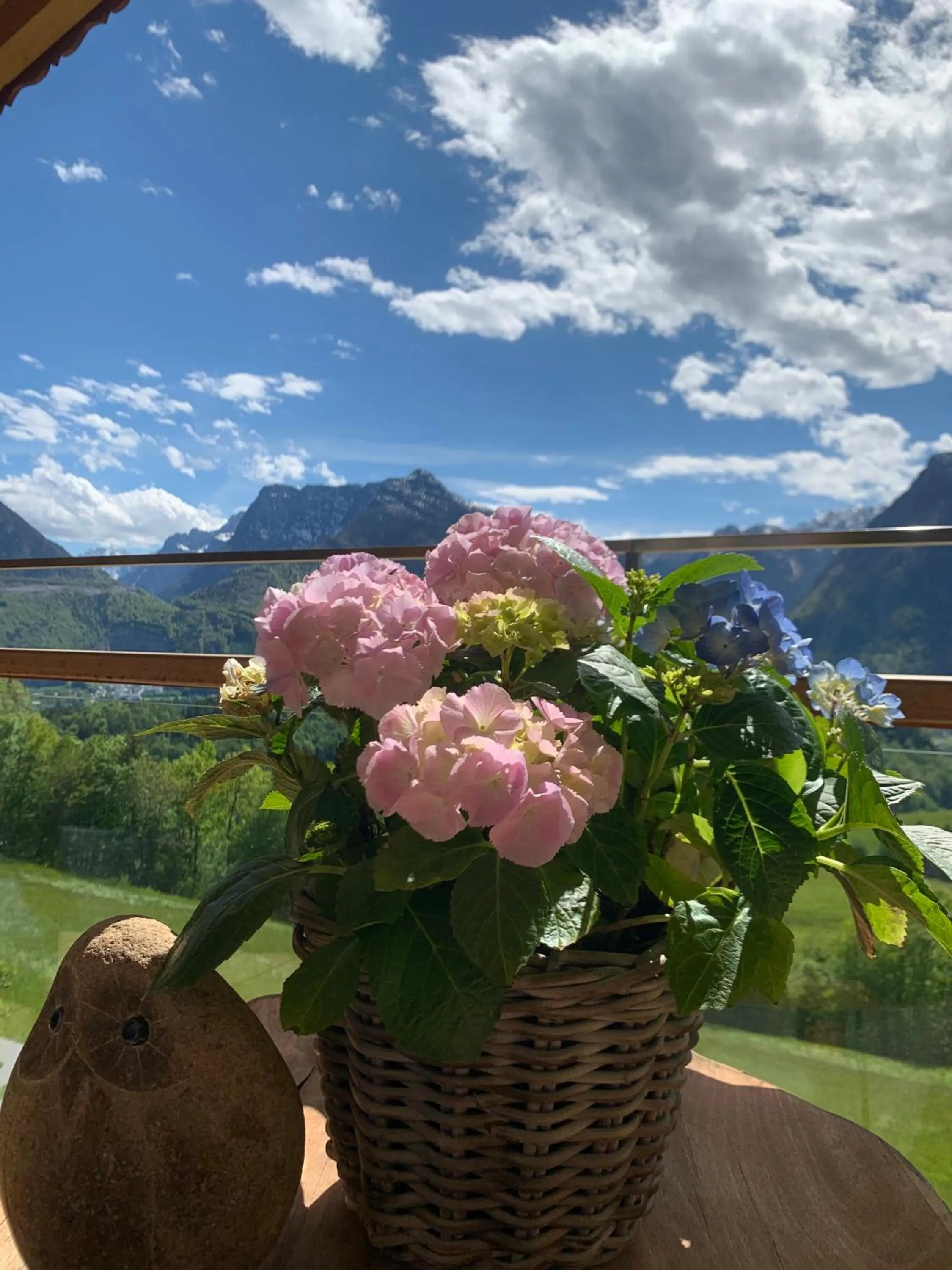 Mountain view in Stallerhof
