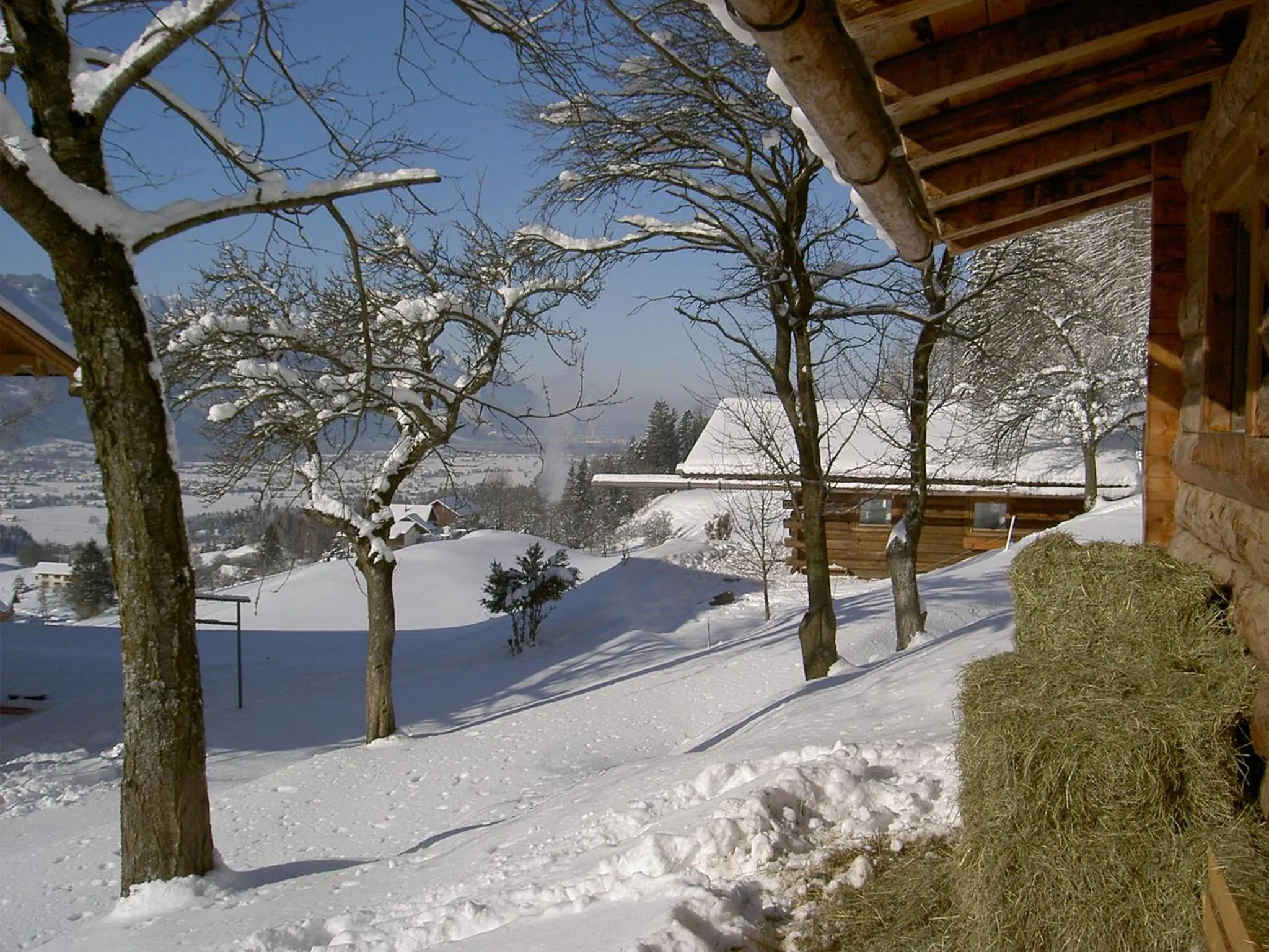 Natural landscape in Stallerhof